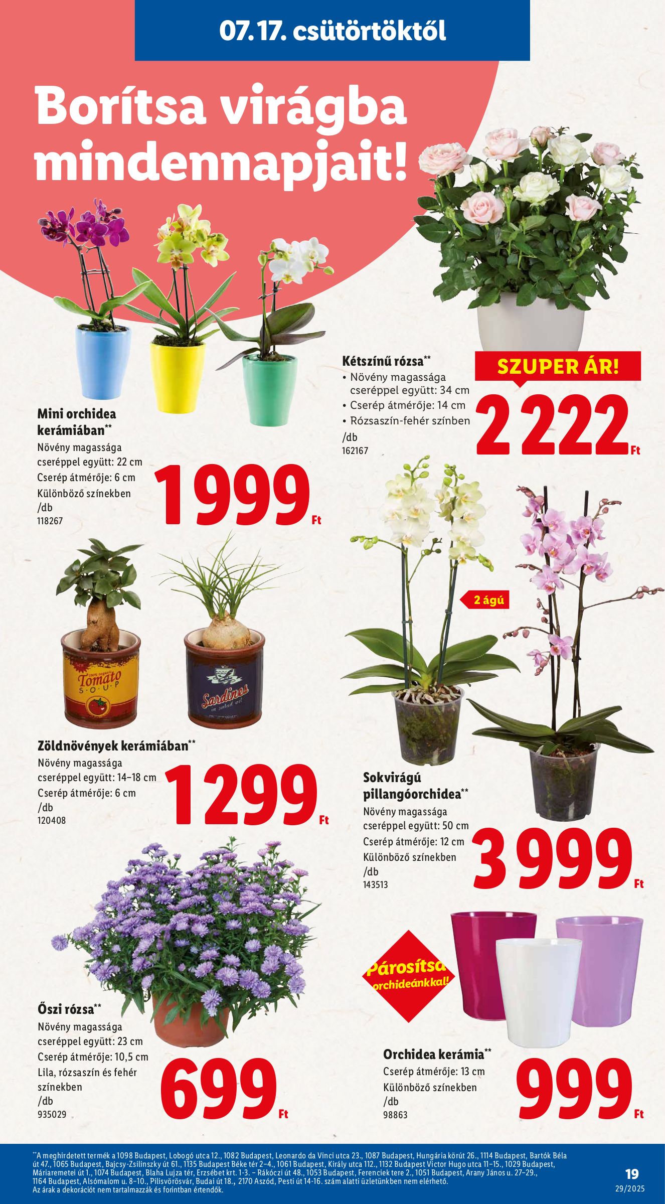 lidl - Lidl akciós újság, érvényes 07.17. - 07.23. - page: 19 lidl - Lidl akciós újság, érvényes 07.17. - 07.23. - page: 19