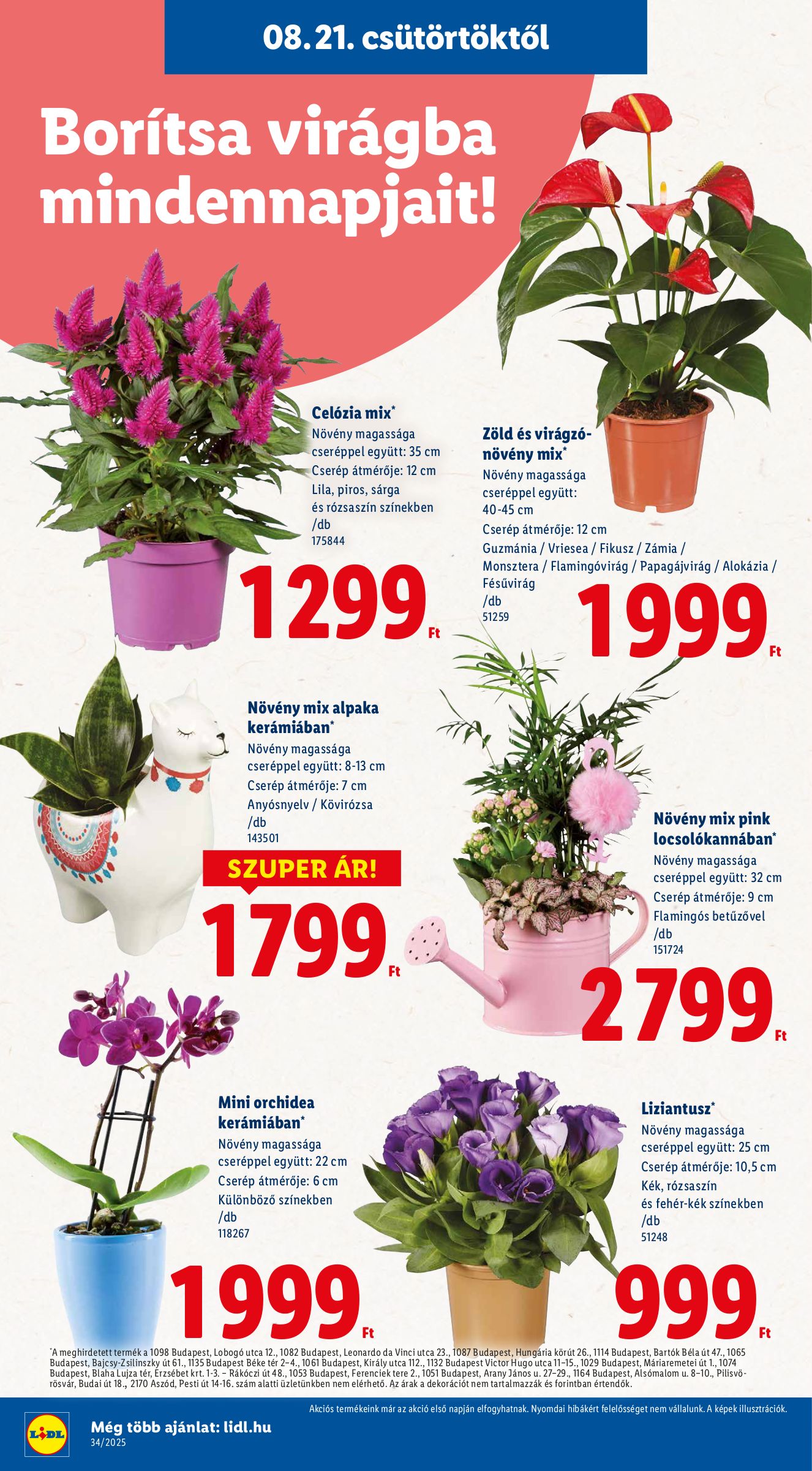 lidl - Lidl akciós újság, érvényes 08.21. - 08.27. - page: 16 lidl - Lidl akciós újság, érvényes 08.21. - 08.27. - page: 16