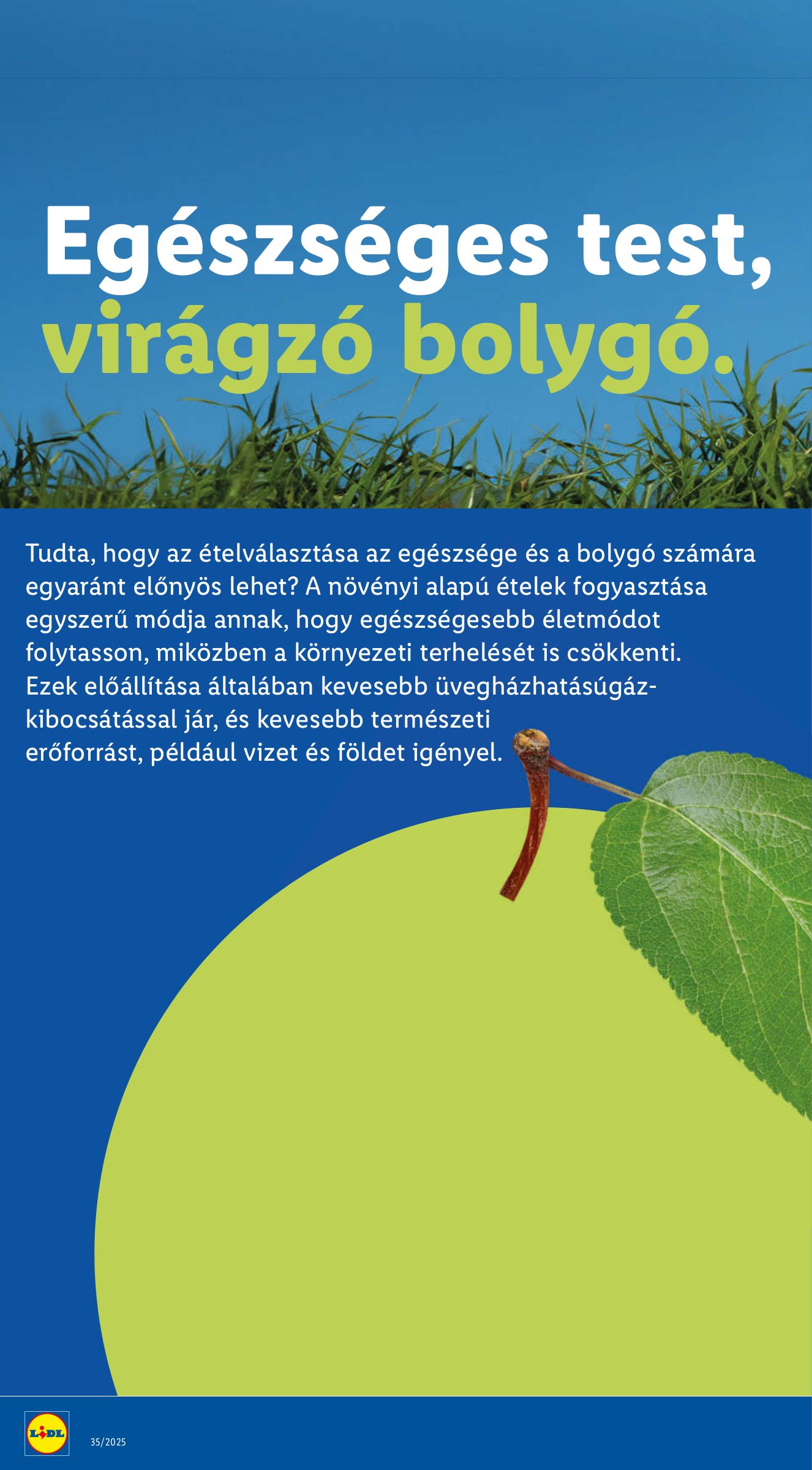 lidl - Lidl akciós újság, érvényes 08.28. - 09.03. - page: 32 lidl - Lidl akciós újság, érvényes 08.28. - 09.03. - page: 32