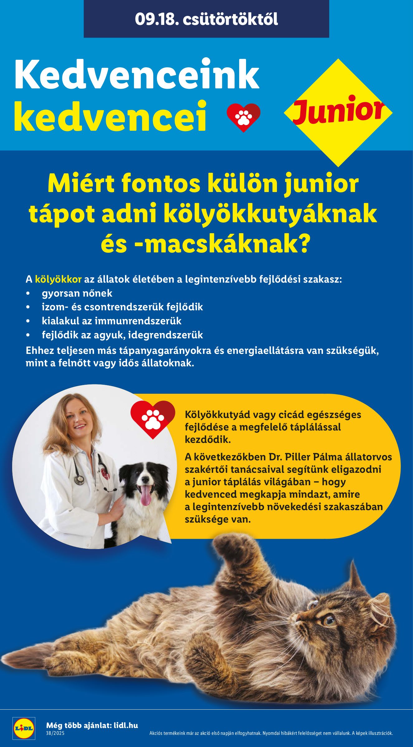 lidl - Lidl akciós újság, érvényes 09.18. - 09.24. - page: 30 lidl - Lidl akciós újság, érvényes 09.18. - 09.24. - page: 30