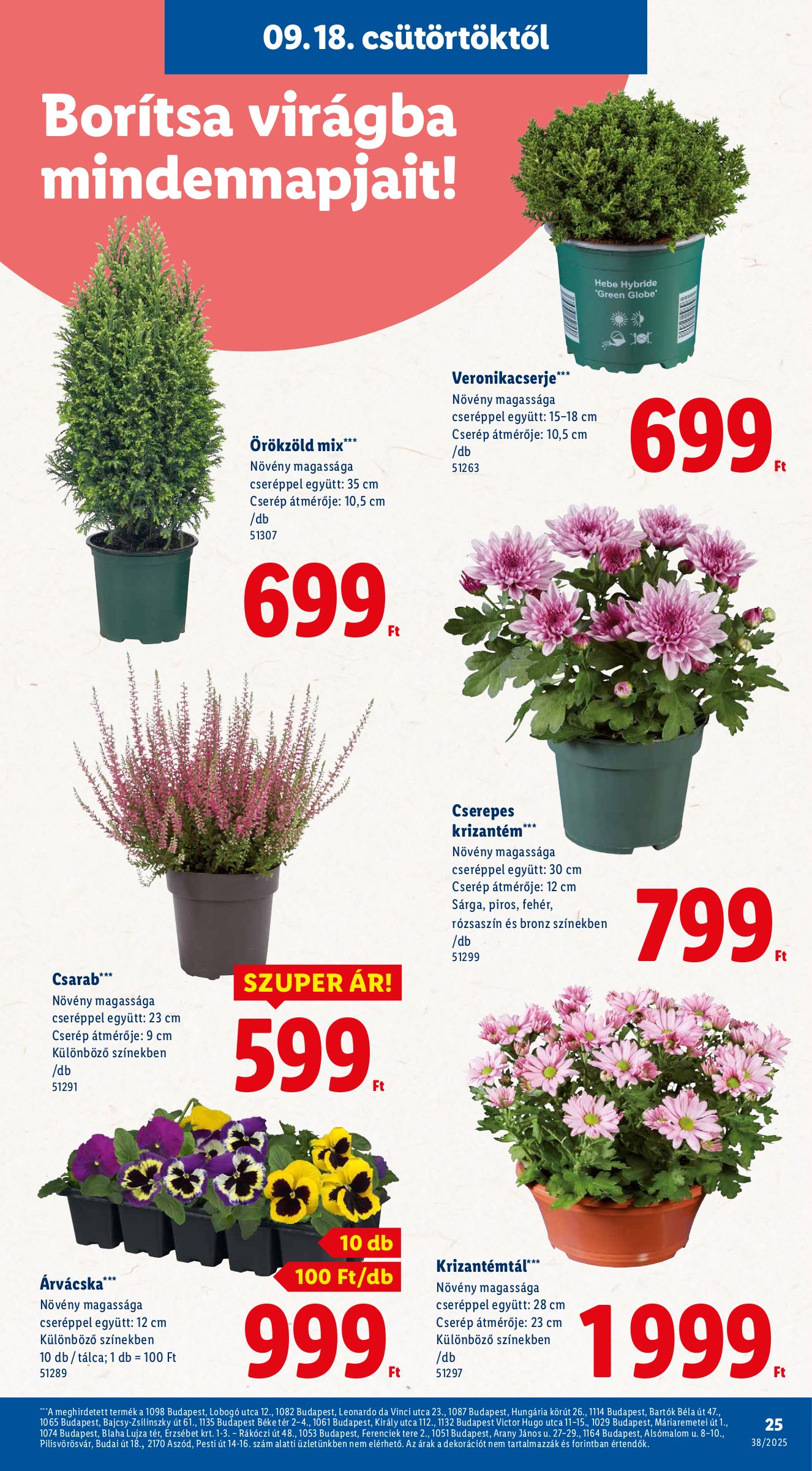 lidl - Lidl akciós újság, érvényes 09.18. - 09.24. - page: 25 lidl - Lidl akciós újság, érvényes 09.18. - 09.24. - page: 25