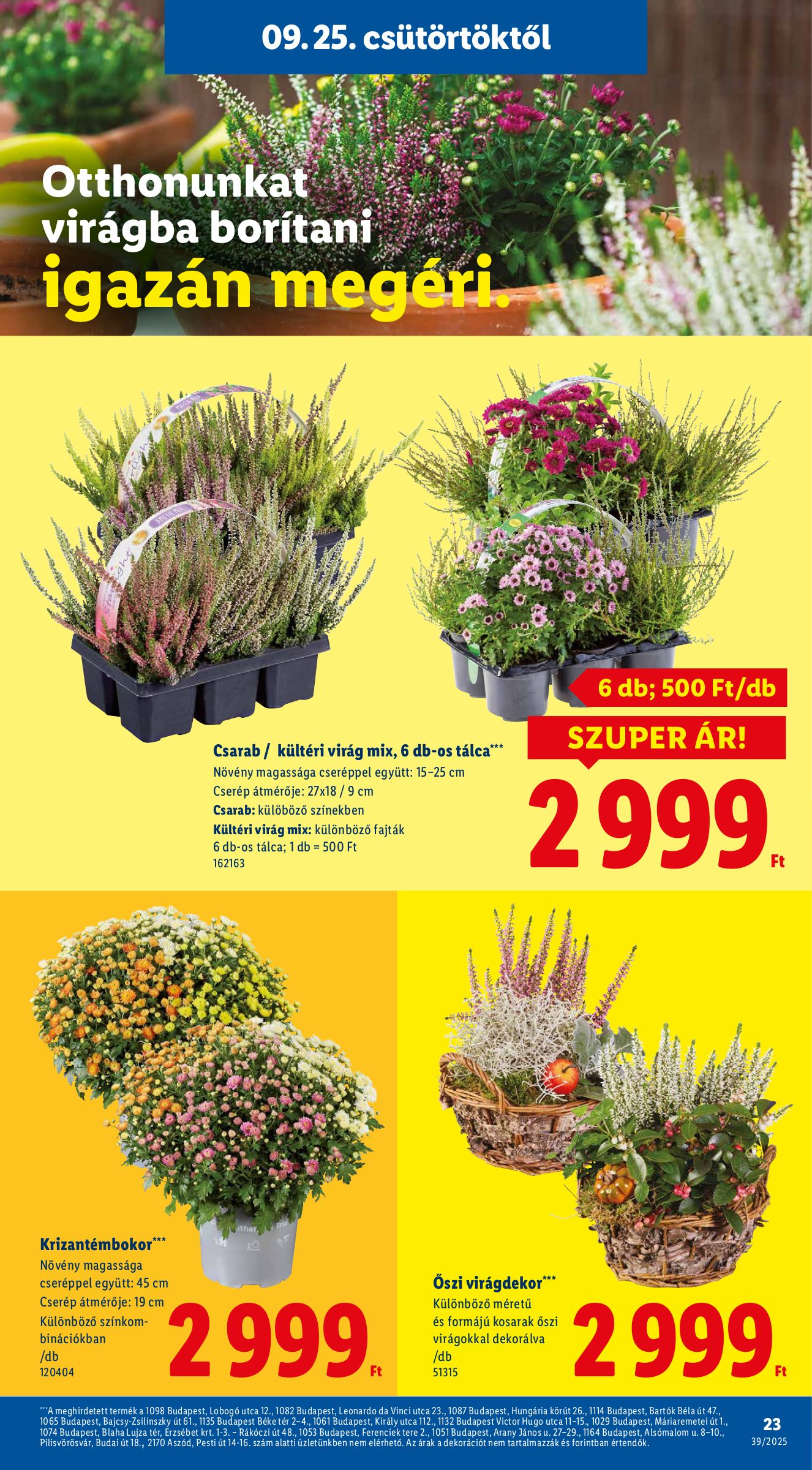 lidl - Lidl akciós újság, érvényes 09.25. - 10.01. - page: 23