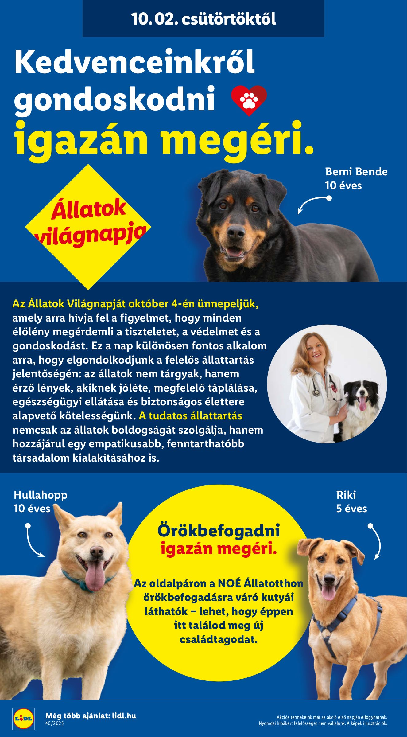lidl - Lidl akciós újság, érvényes 10.02. - 10.08. - page: 28