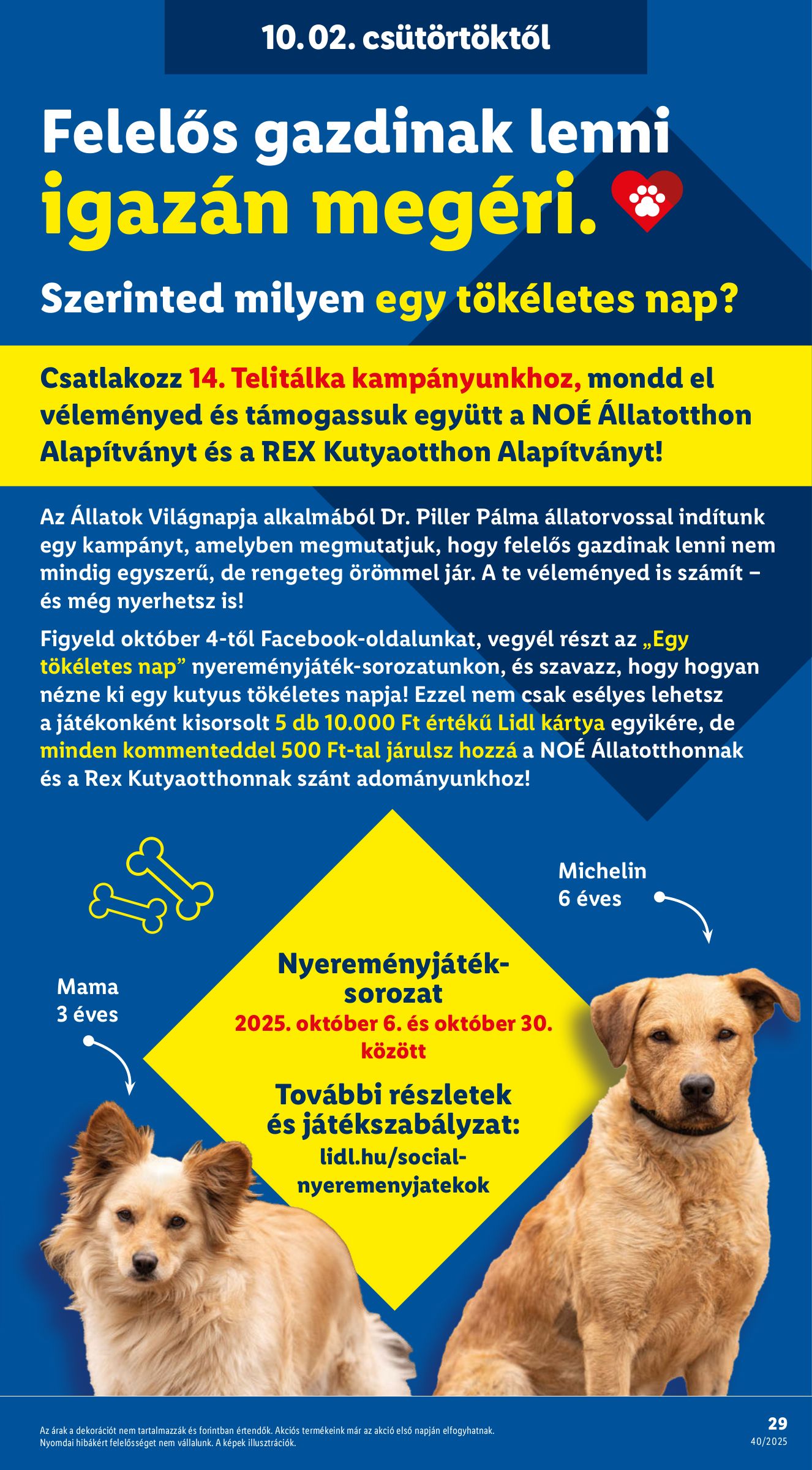lidl - Lidl akciós újság, érvényes 10.02. - 10.08. - page: 29