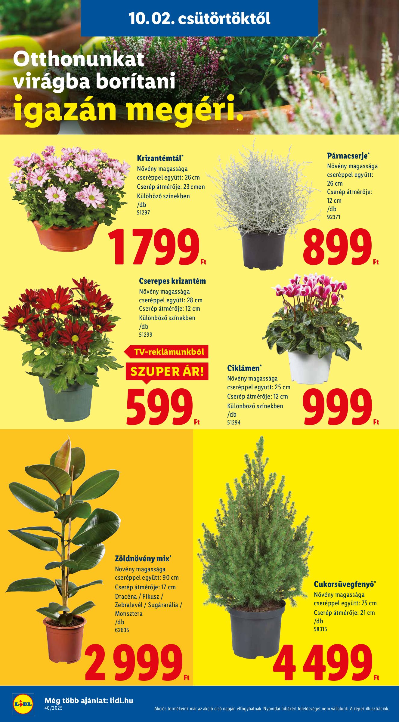 lidl - Lidl akciós újság, érvényes 10.02. - 10.08. - page: 26