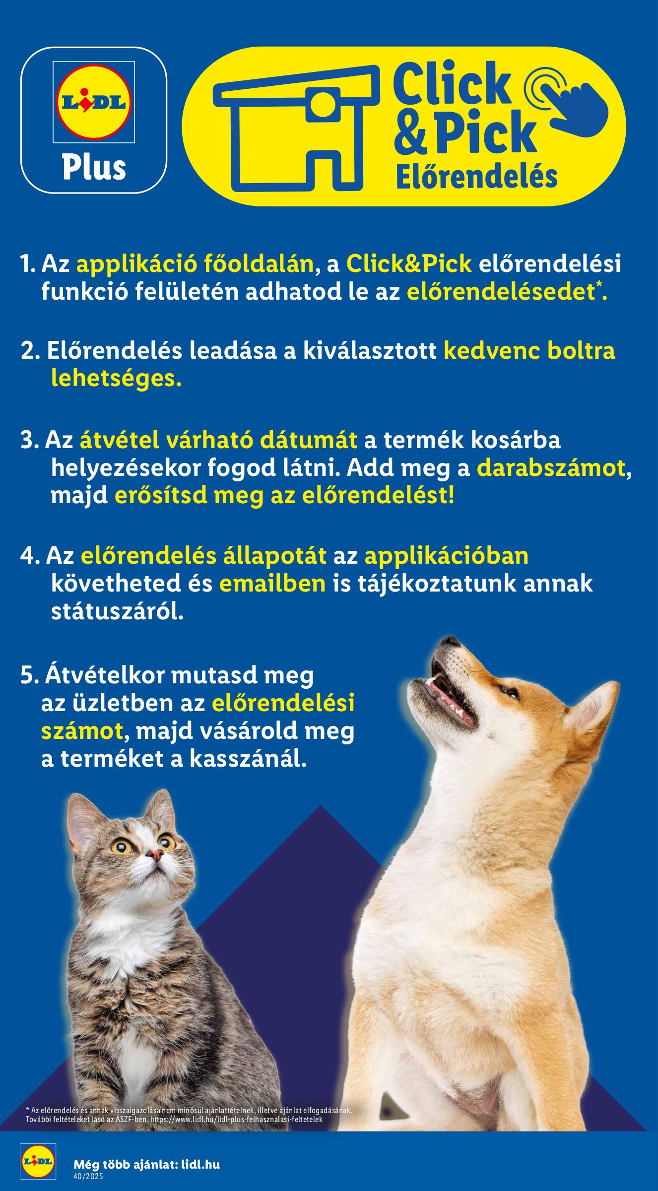 lidl - Lidl akciós újság, érvényes 10.02. - 10.08. - page: 32