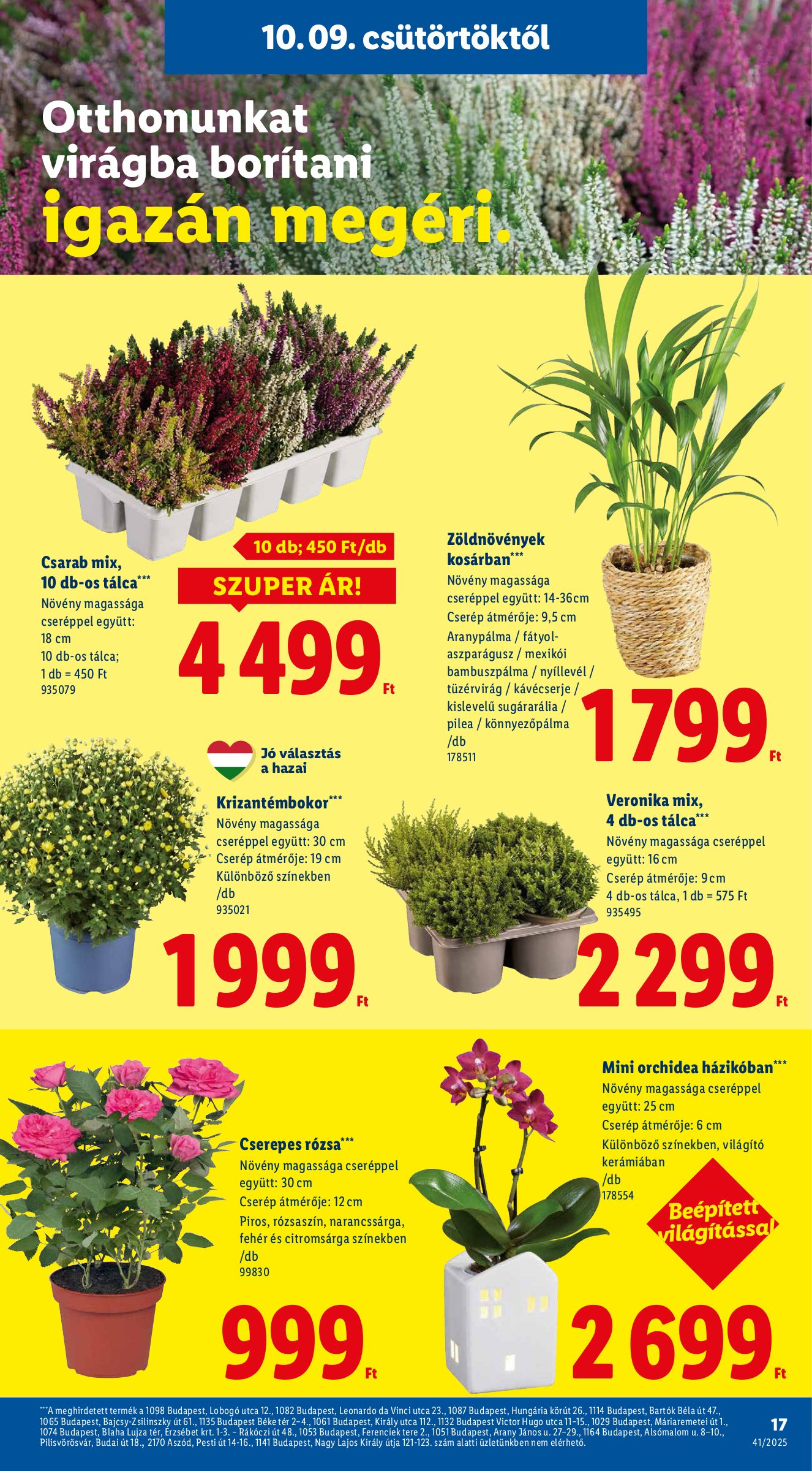 lidl - Lidl akciós újság, érvényes 10.09. - 10.15. - page: 17