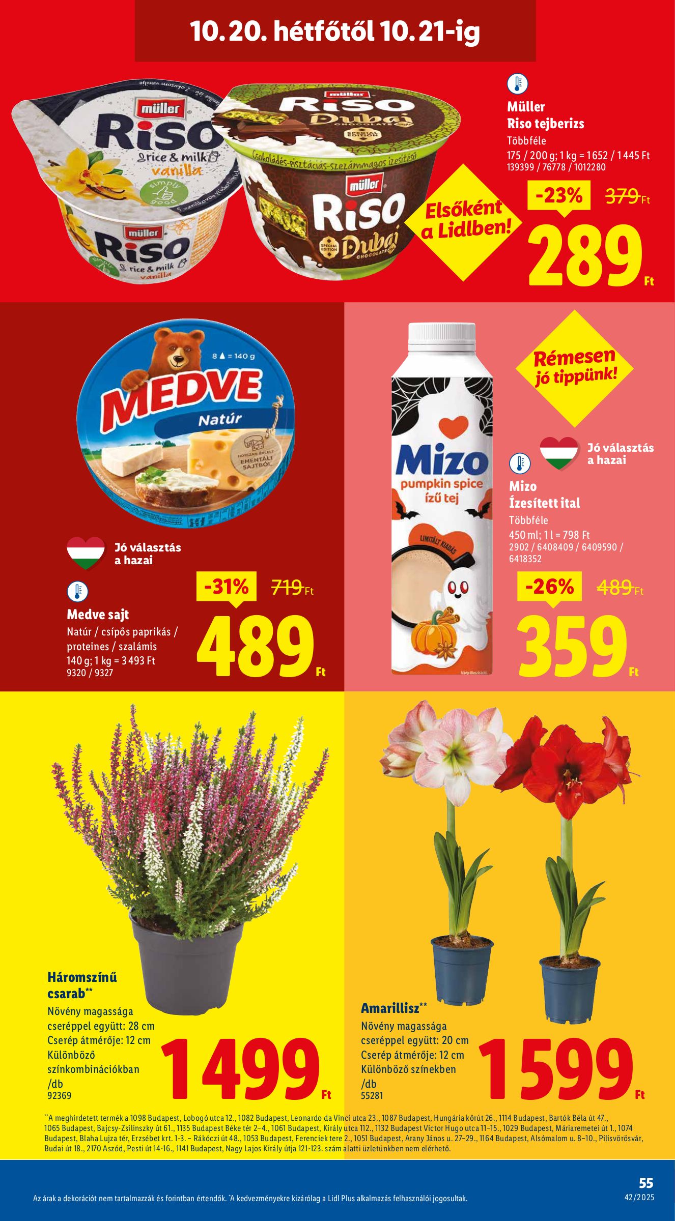 lidl - Lidl akciós újság, érvényes 10.16. - 10.22. - page: 55 lidl - Lidl akciós újság, érvényes 10.16. - 10.22. - page: 55