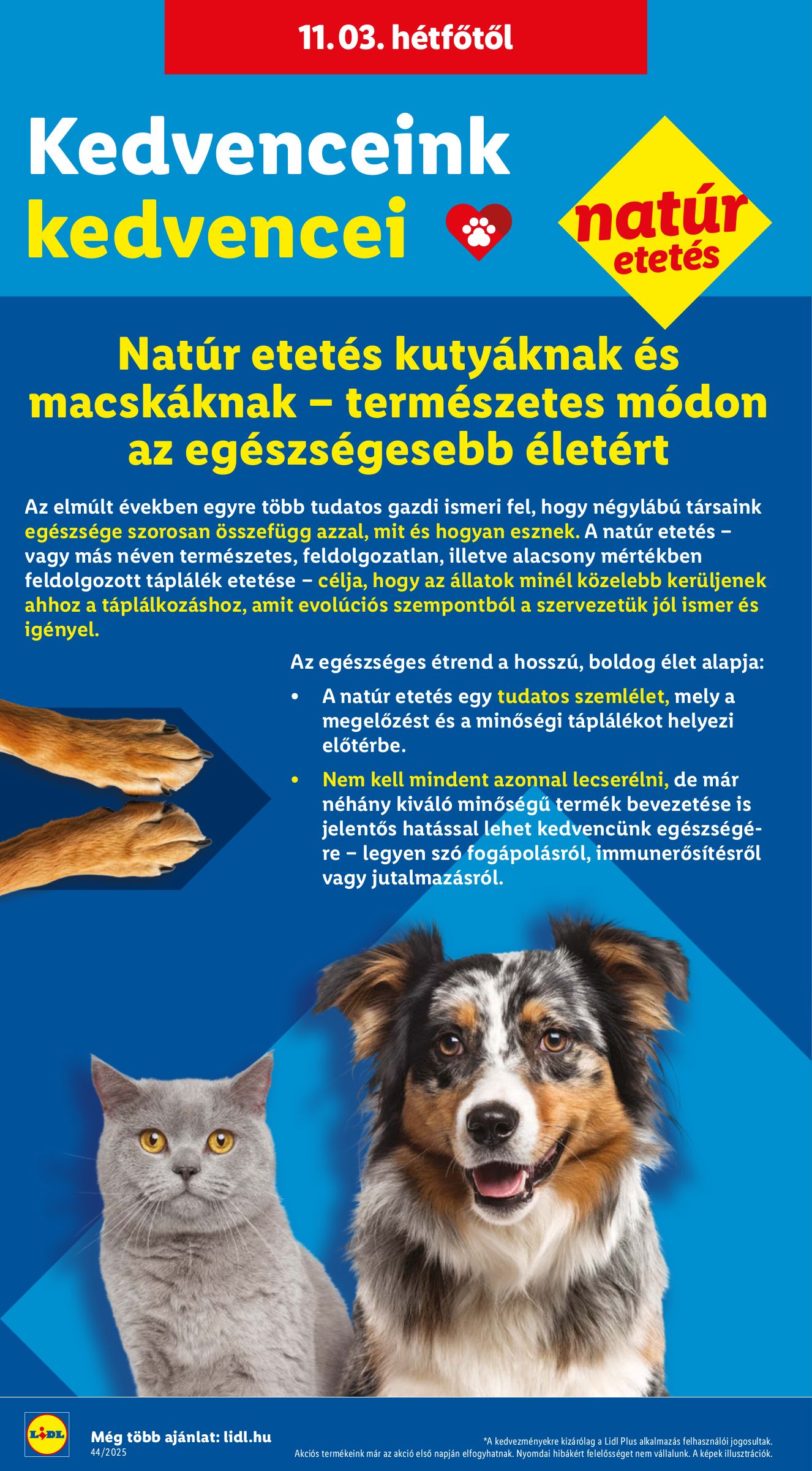 lidl - Lidl akciós újság, érvényes 10.30. - 11.05. - page: 42 lidl - Lidl akciós újság, érvényes 10.30. - 11.05. - page: 42