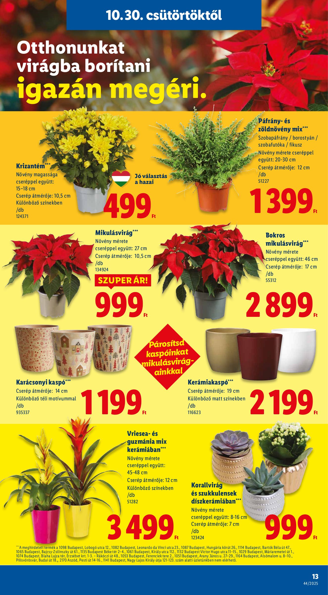 lidl - Lidl akciós újság, érvényes 10.30. - 11.05. - page: 13 lidl - Lidl akciós újság, érvényes 10.30. - 11.05. - page: 13