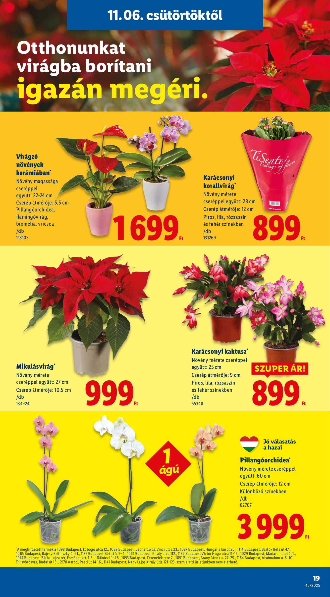 lidl - Lidl akciós újság, érvényes 11.06. - 11.12. - page: 19 lidl - Lidl akciós újság, érvényes 11.06. - 11.12. - page: 19