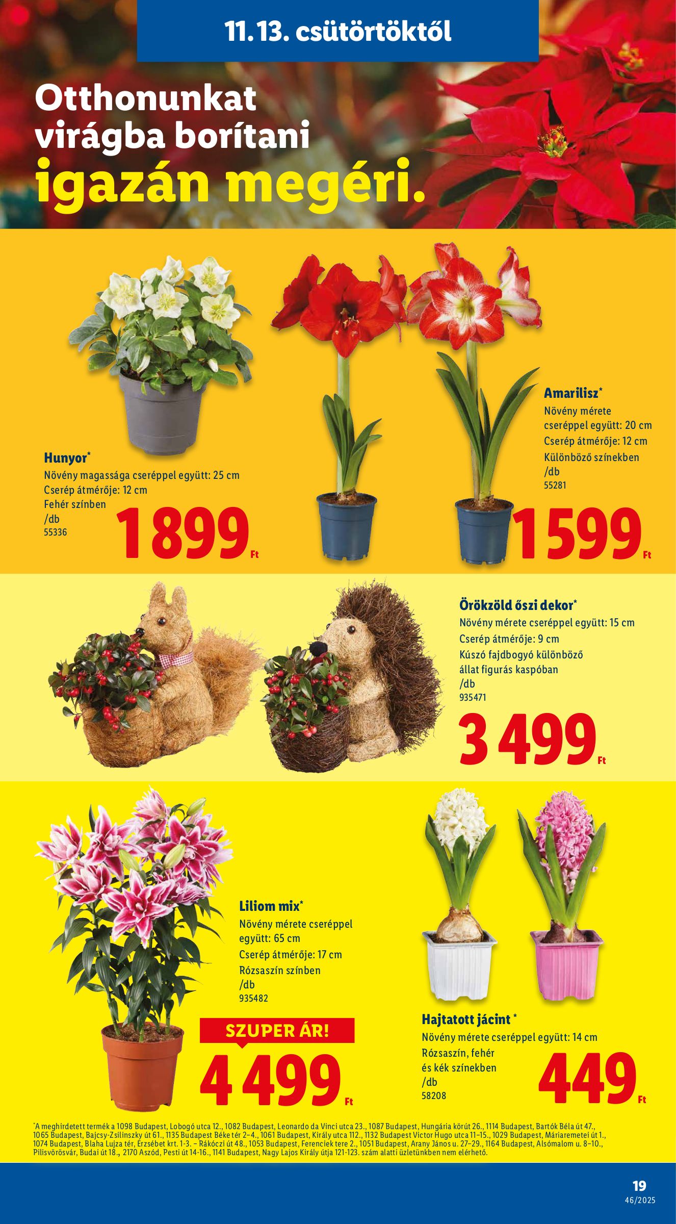 lidl - Lidl akciós újság, érvényes 11.13. - 11.19. - page: 19