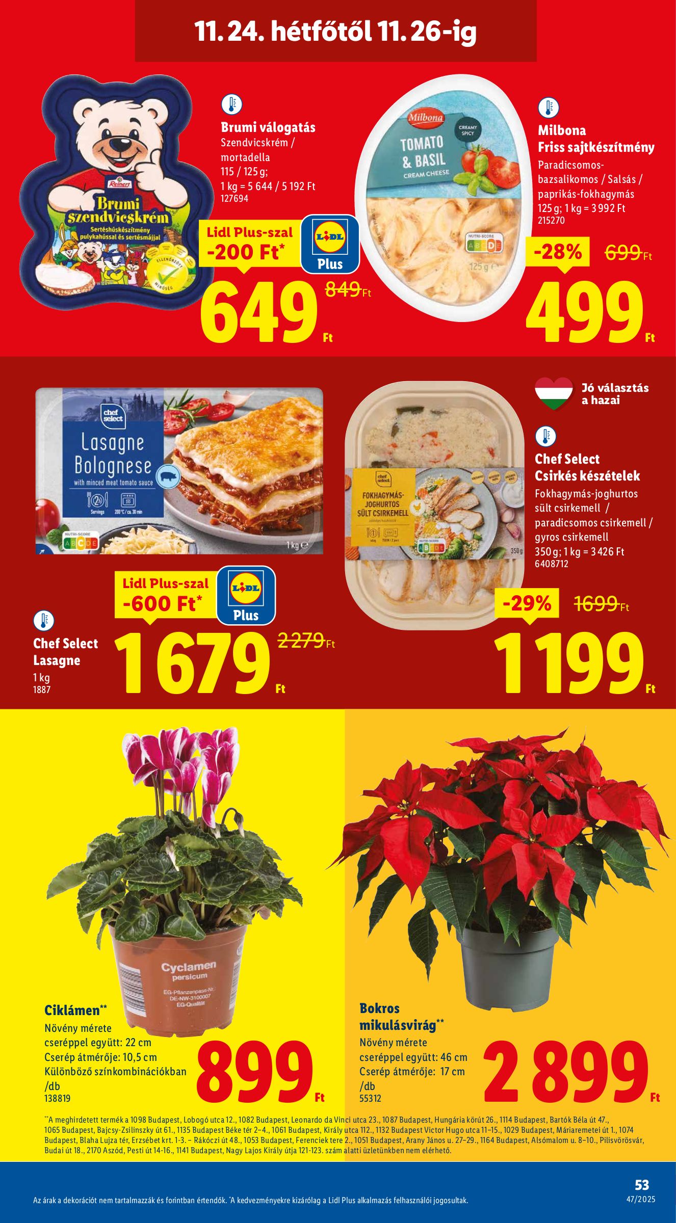 lidl - Lidl akciós újság, érvényes 11.20. - 11.26. - page: 53