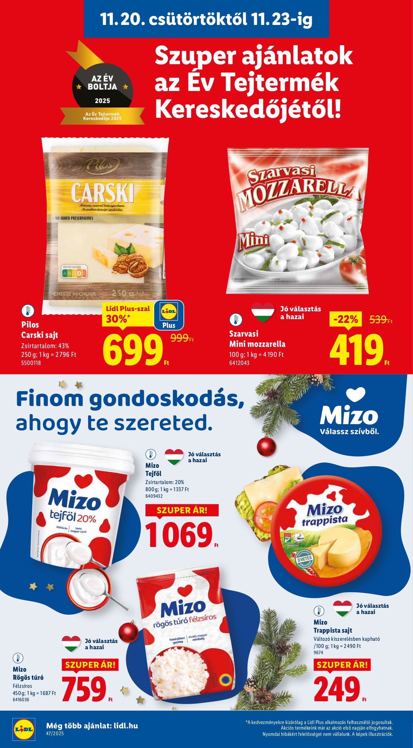 lidl - Lidl akciós újság, érvényes 11.20. - 11.26. - page: 10