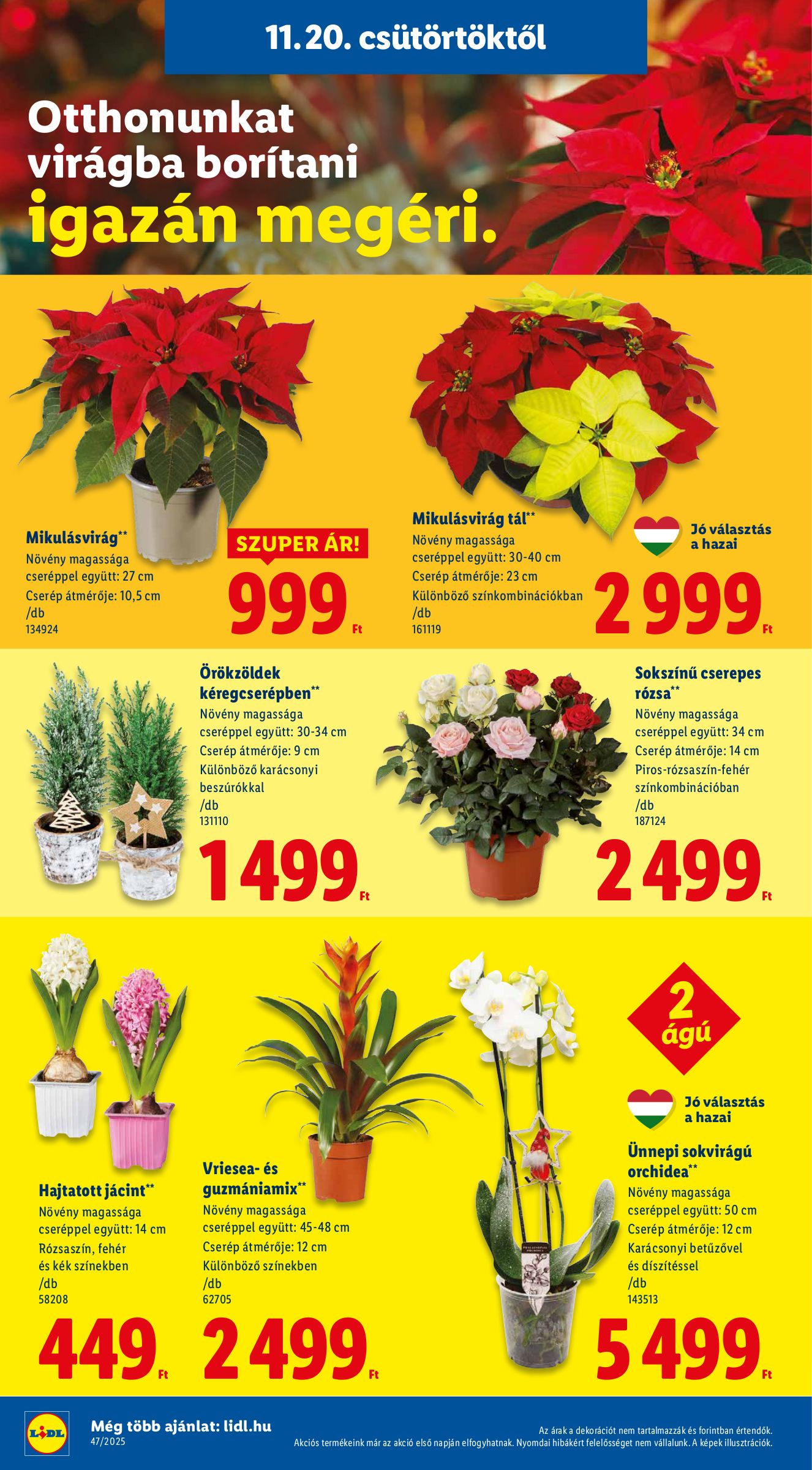 lidl - Lidl akciós újság, érvényes 11.20. - 11.26. - page: 6