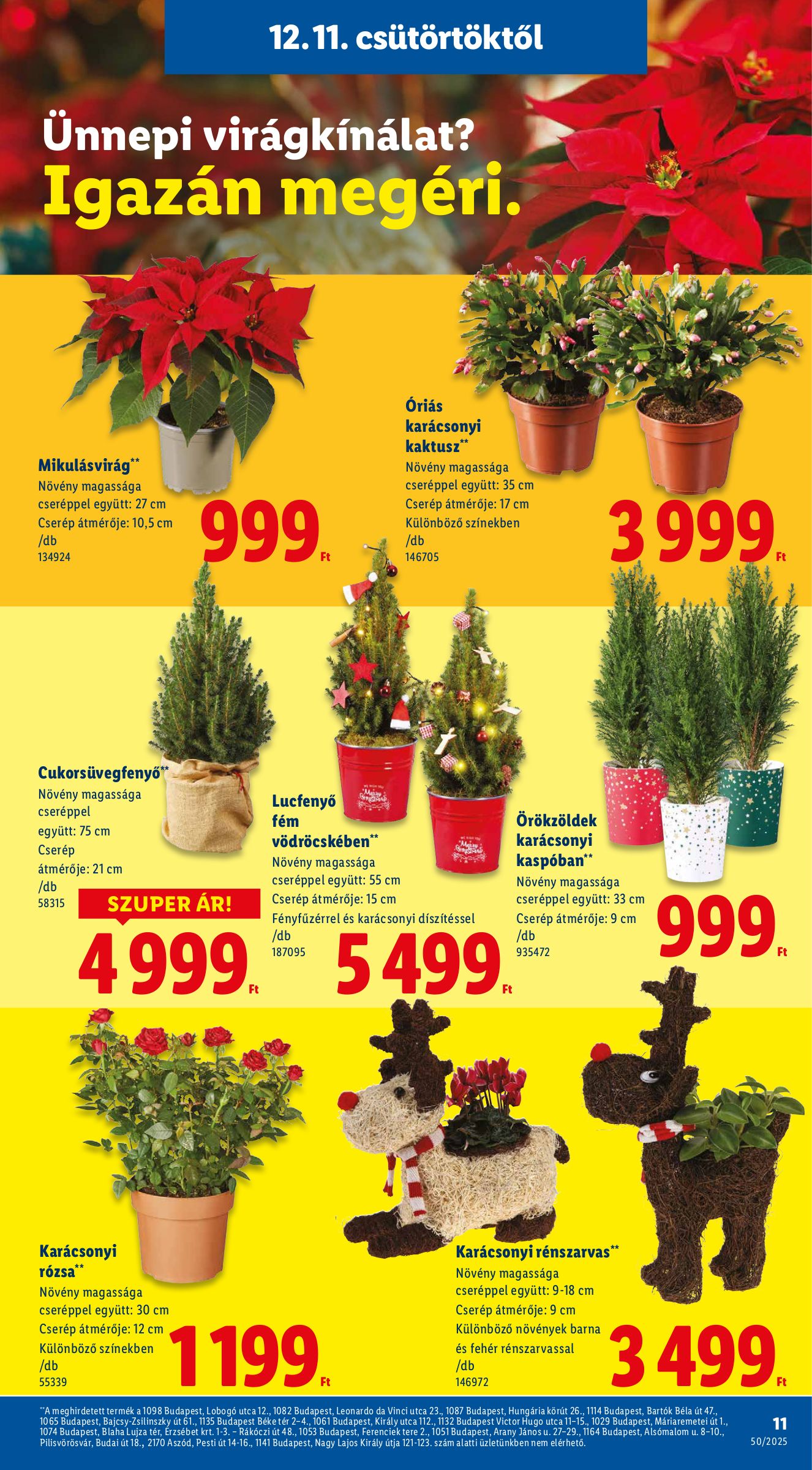 lidl - Lidl akciós újság, érvényes 12.11. - 12.17. - page: 11