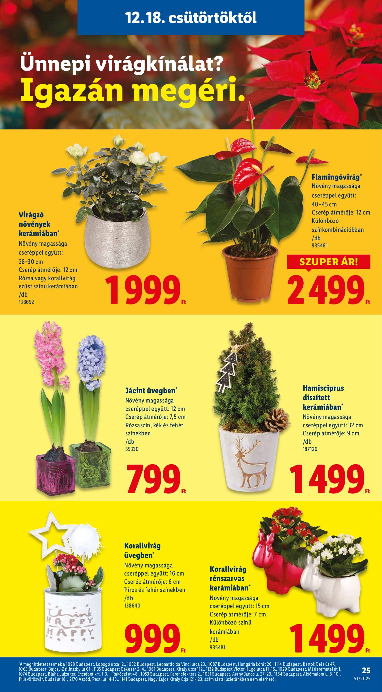 lidl - Lidl akciós újság, érvényes 12.18. - 12.23. - page: 25