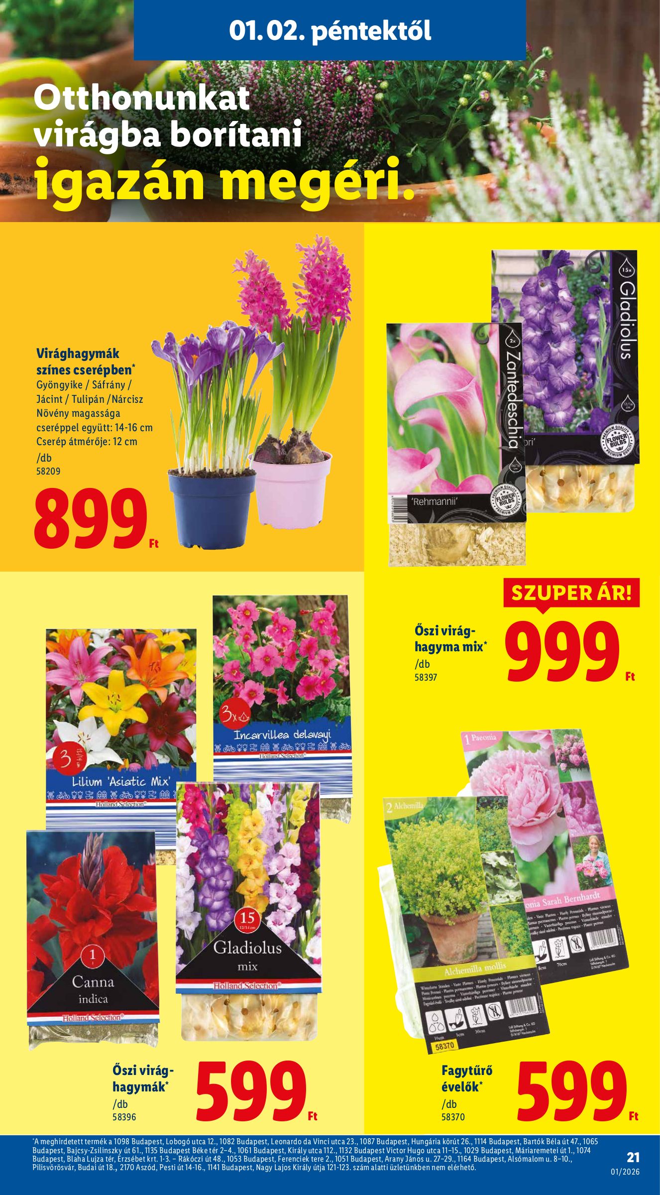 lidl - Lidl akciós újság, érvényes 01.02. - 01.07. - page: 21