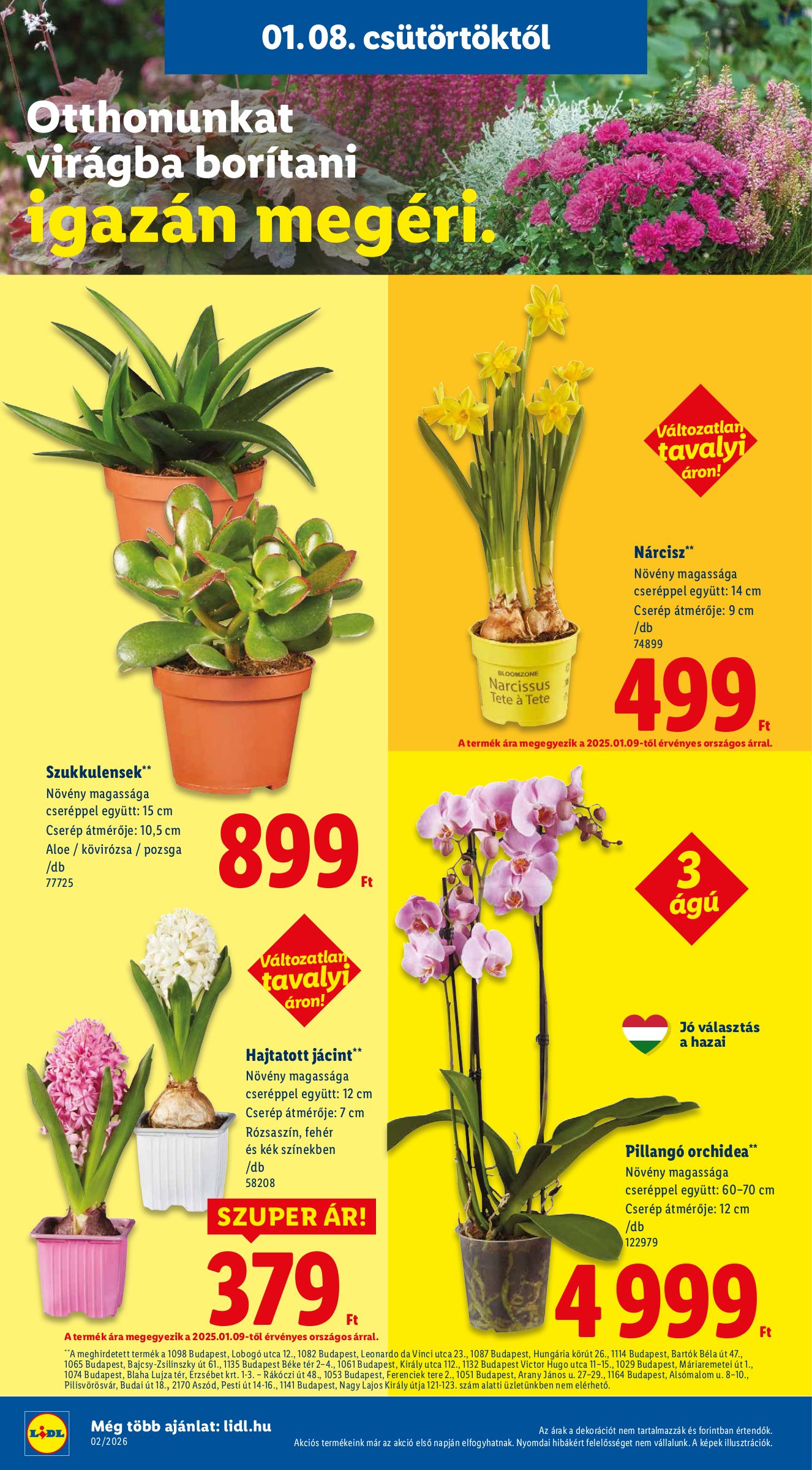 lidl - Lidl akciós újság, érvényes 01.08. - 01.14. - page: 24