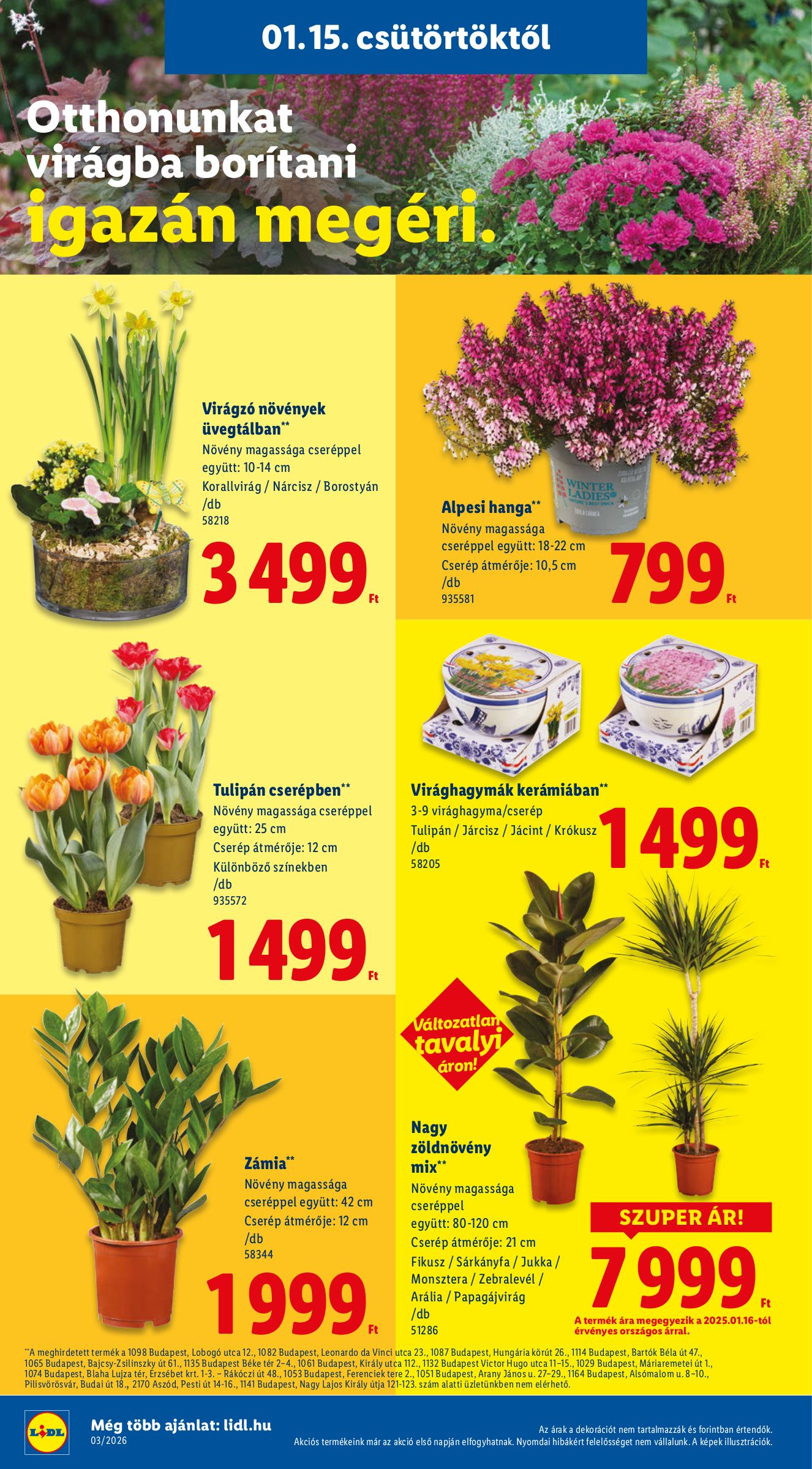 lidl - Lidl akciós újság, érvényes 01.15. - 01.21. - page: 16