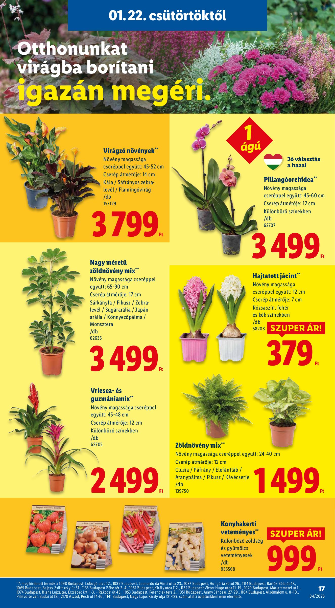 lidl - Lidl akciós újság, érvényes 01.22. - 01.28. - page: 17