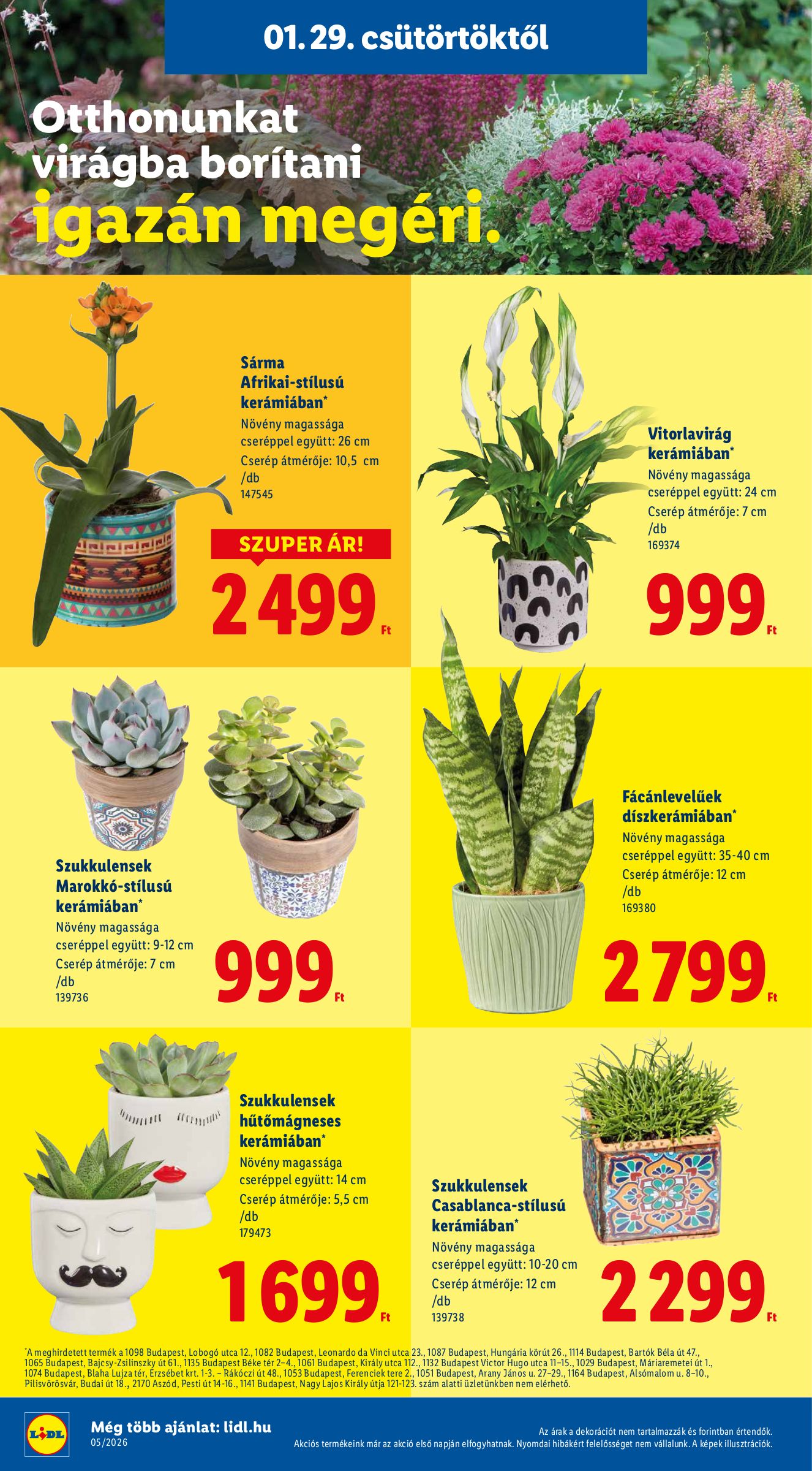 lidl - Lidl akciós újság, érvényes 01.29. - 02.04. - page: 20