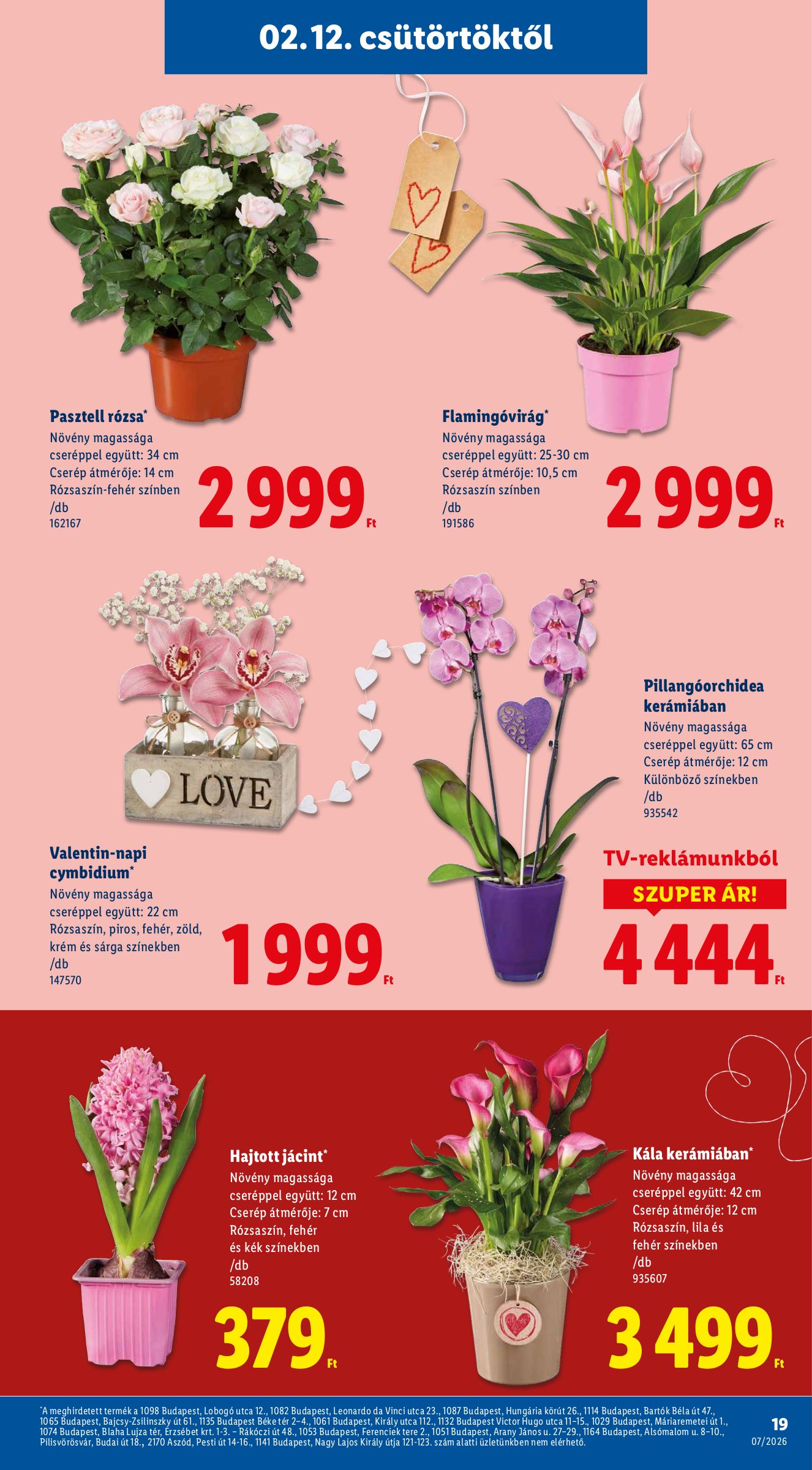 lidl - Lidl akciós újság, érvényes 2026.02.12. - 2026.02.18. - page: 19