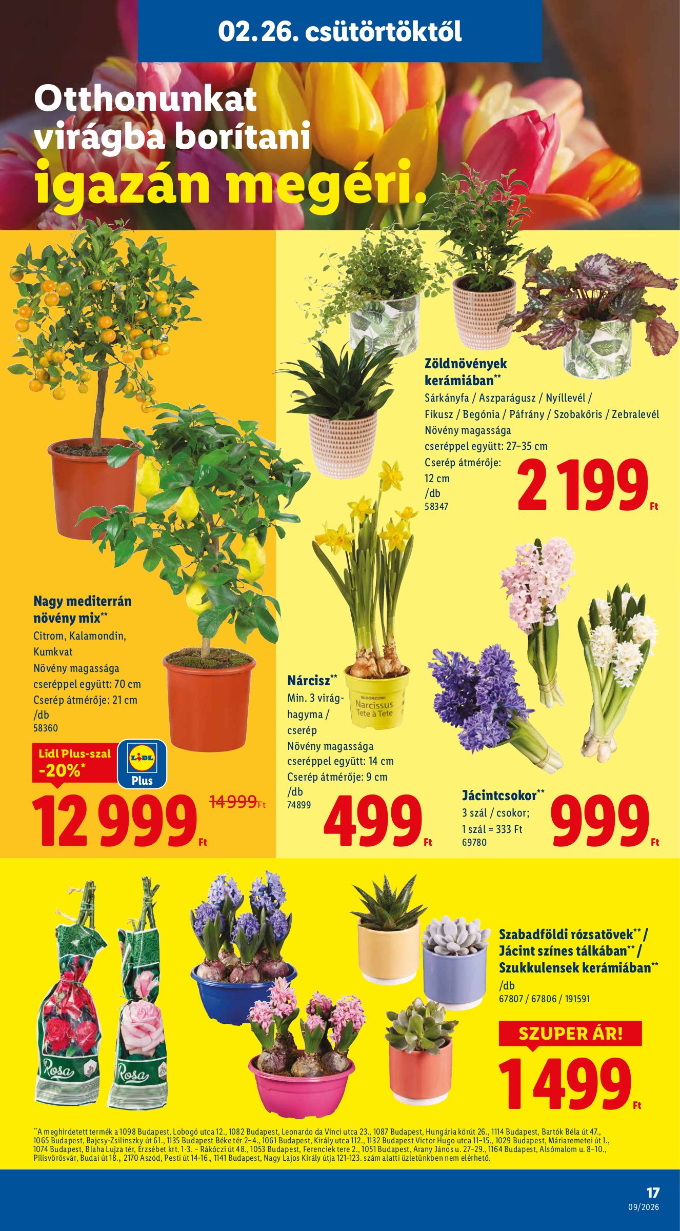 lidl - Lidl akciós újság, érvényes 2026.02.26. - 2026.03.04. - page: 17