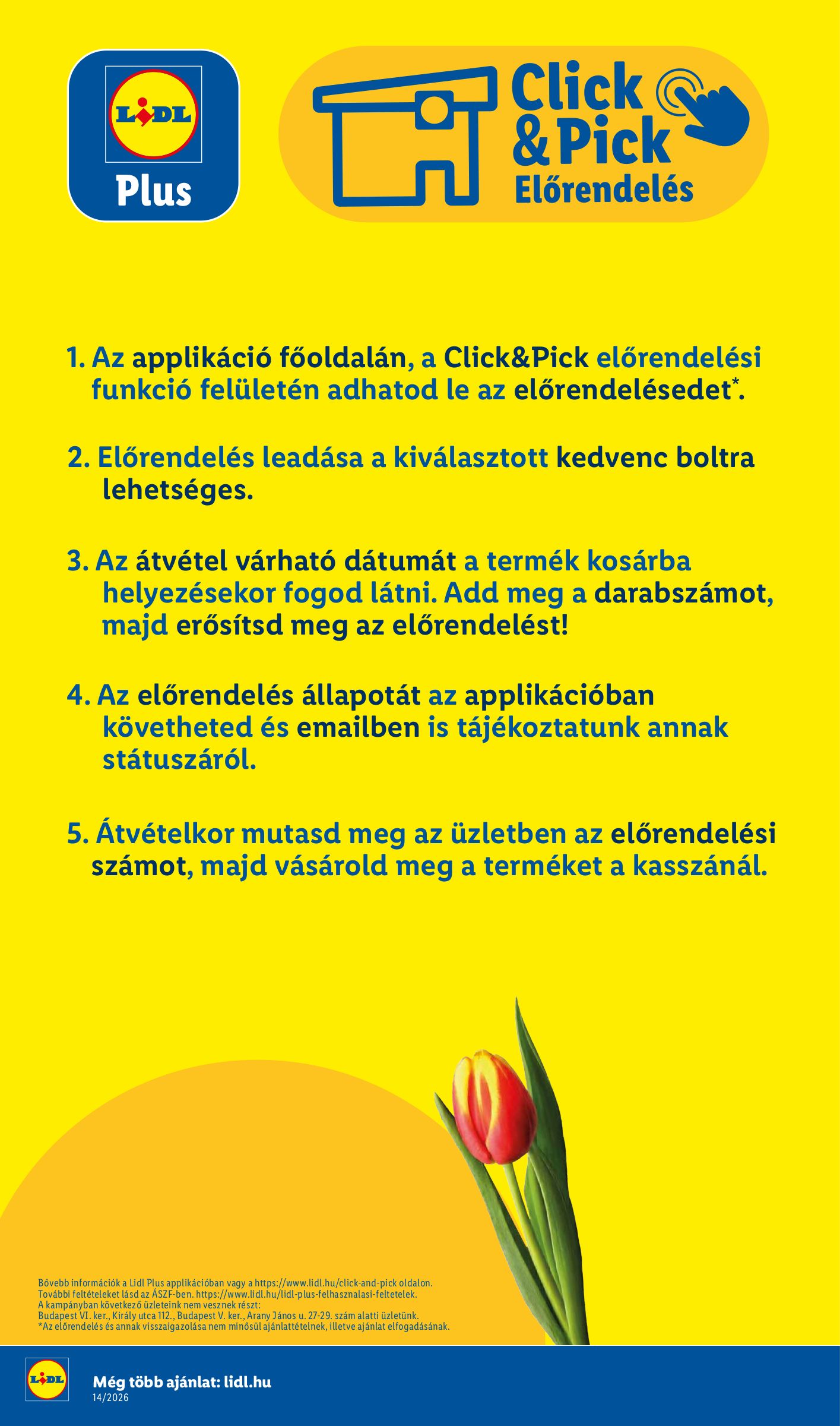 lidl - Lidl - Nonfood akciós újság, érvényes 2026.04.01. - 2026.04.08. - page: 12