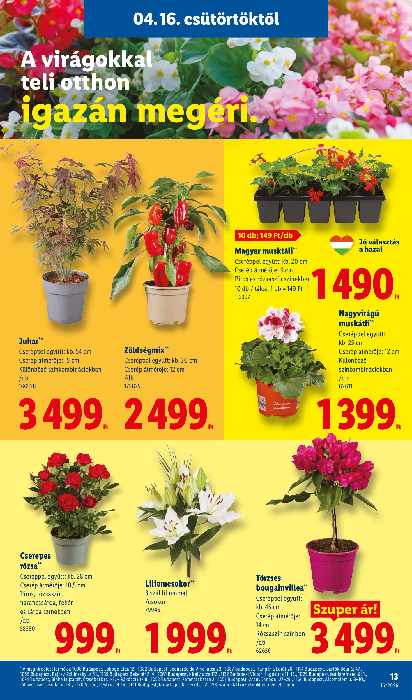 lidl - Aktuális Lidl szórólap érvényes csütörtöktől 2026.04.16.-től szerdától 2026.04.22.-ig - page: 13