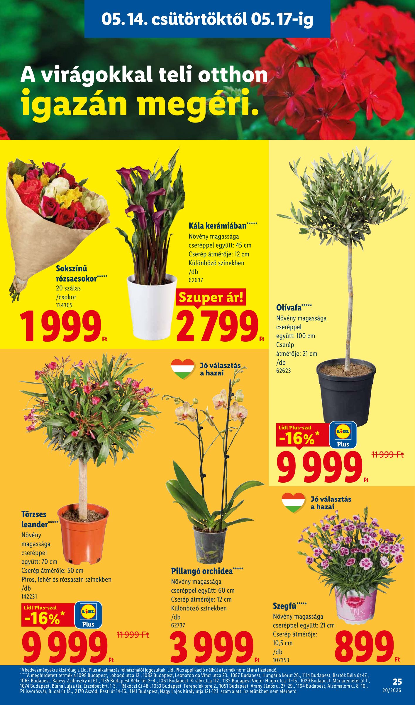 lidl - Lidl hirdetmény a következő hétre csütörtöktől 2026.05.14.-tól szerdától 2026.05.20.-ig - page: 25