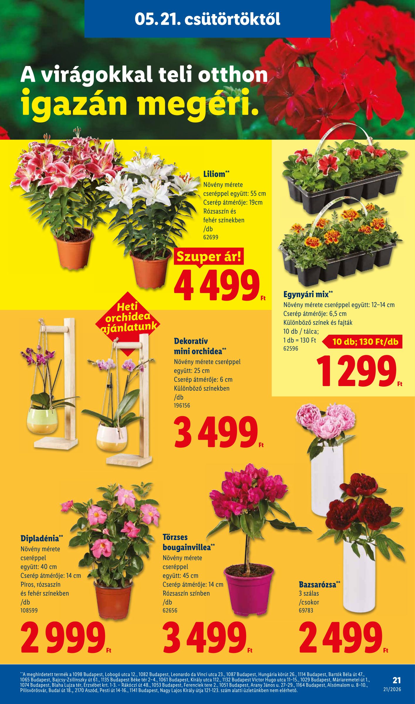 lidl - Lidl hirdetmény a következő hétre csütörtöktől 2026.05.21.-tól szerdától 2026.05.27.-ig - page: 21