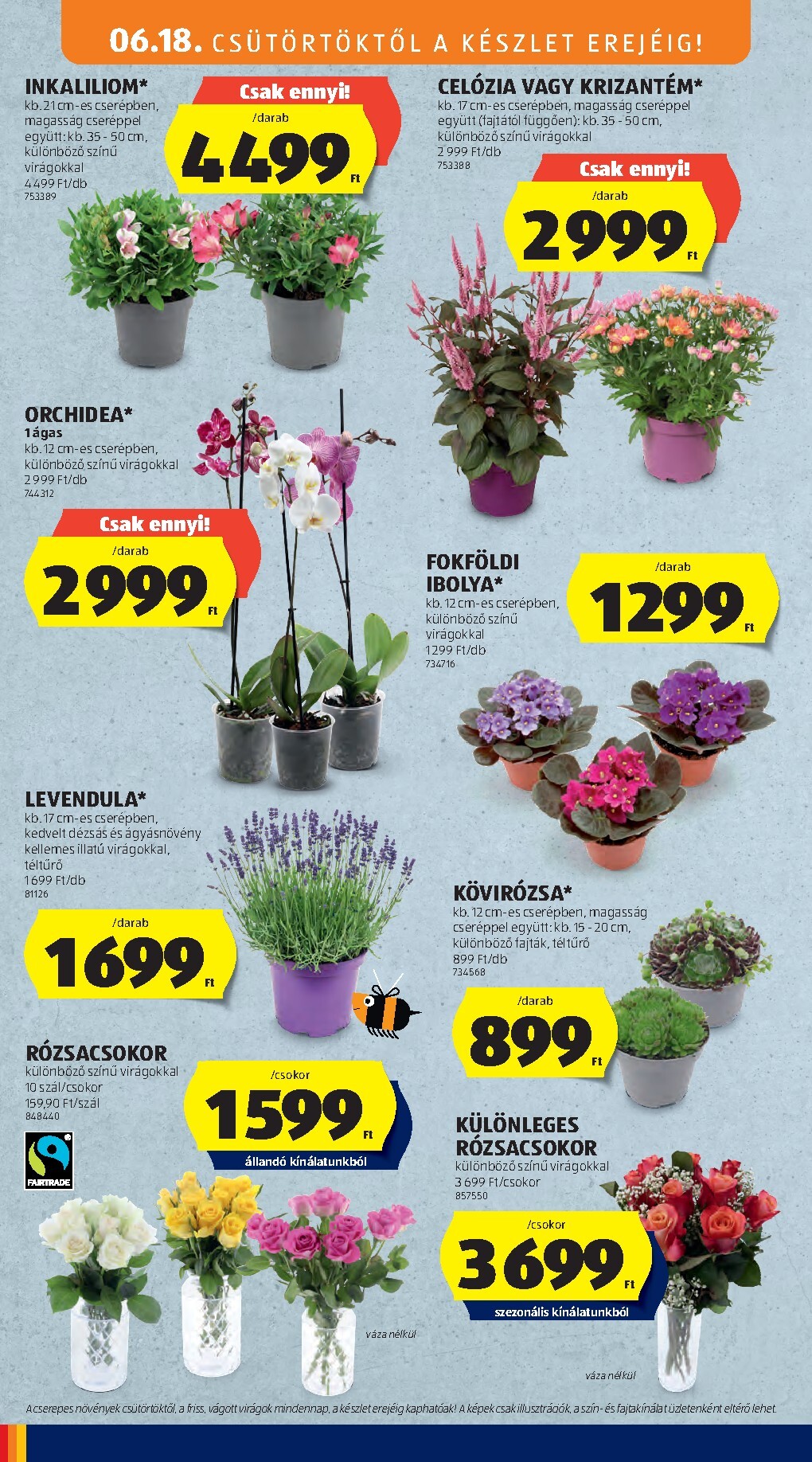 aldi - Aldi hirdetmény a következő hétre csütörtöktől 2026.06.18.-tól szerdától 2026.06.24.-ig - page: 34
