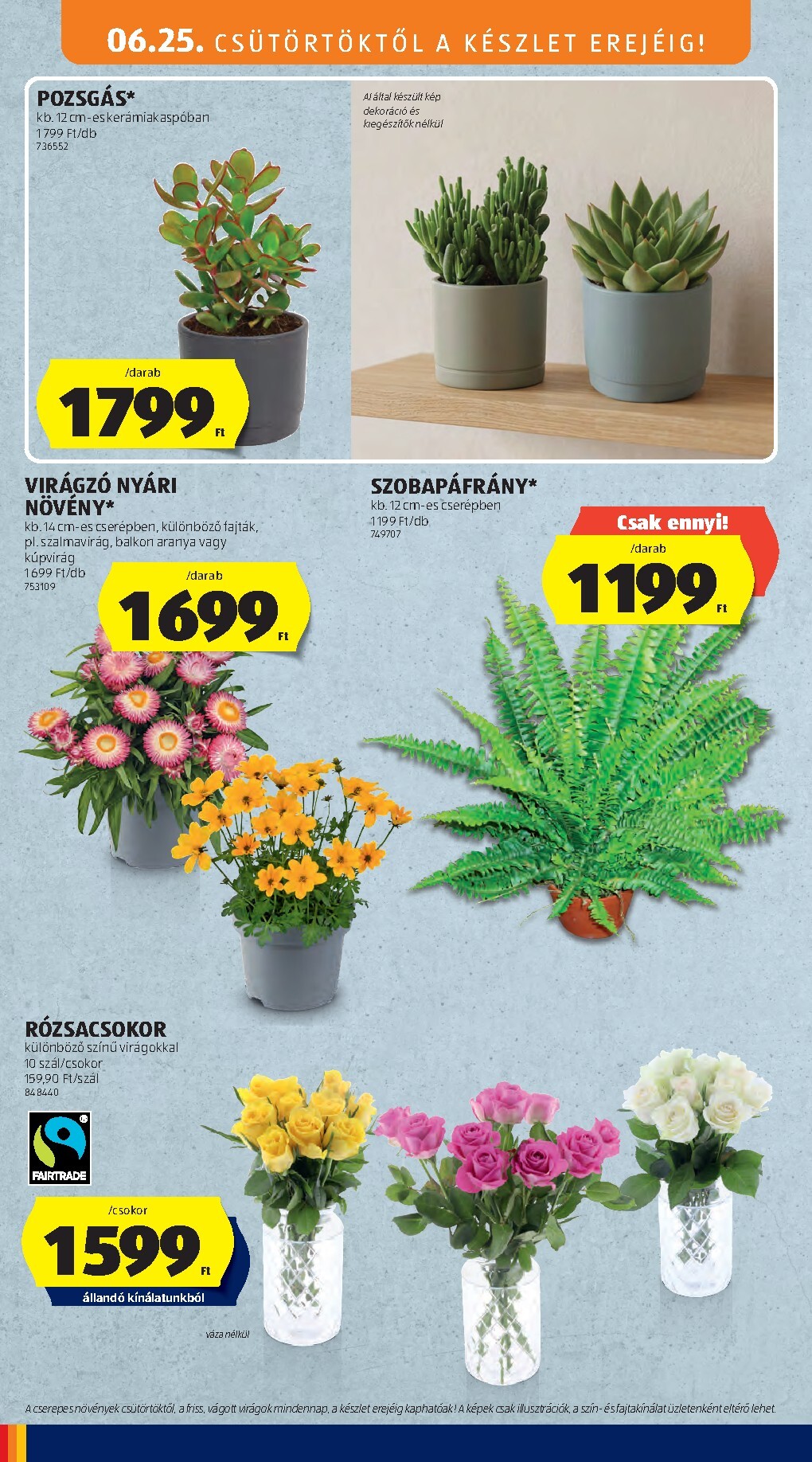 aldi - A jövőbeli Aldi akciós újság csütörtöktől 2026.06.25.-tól szerdától 2026.07.01.-ig érvényes. - page: 30
