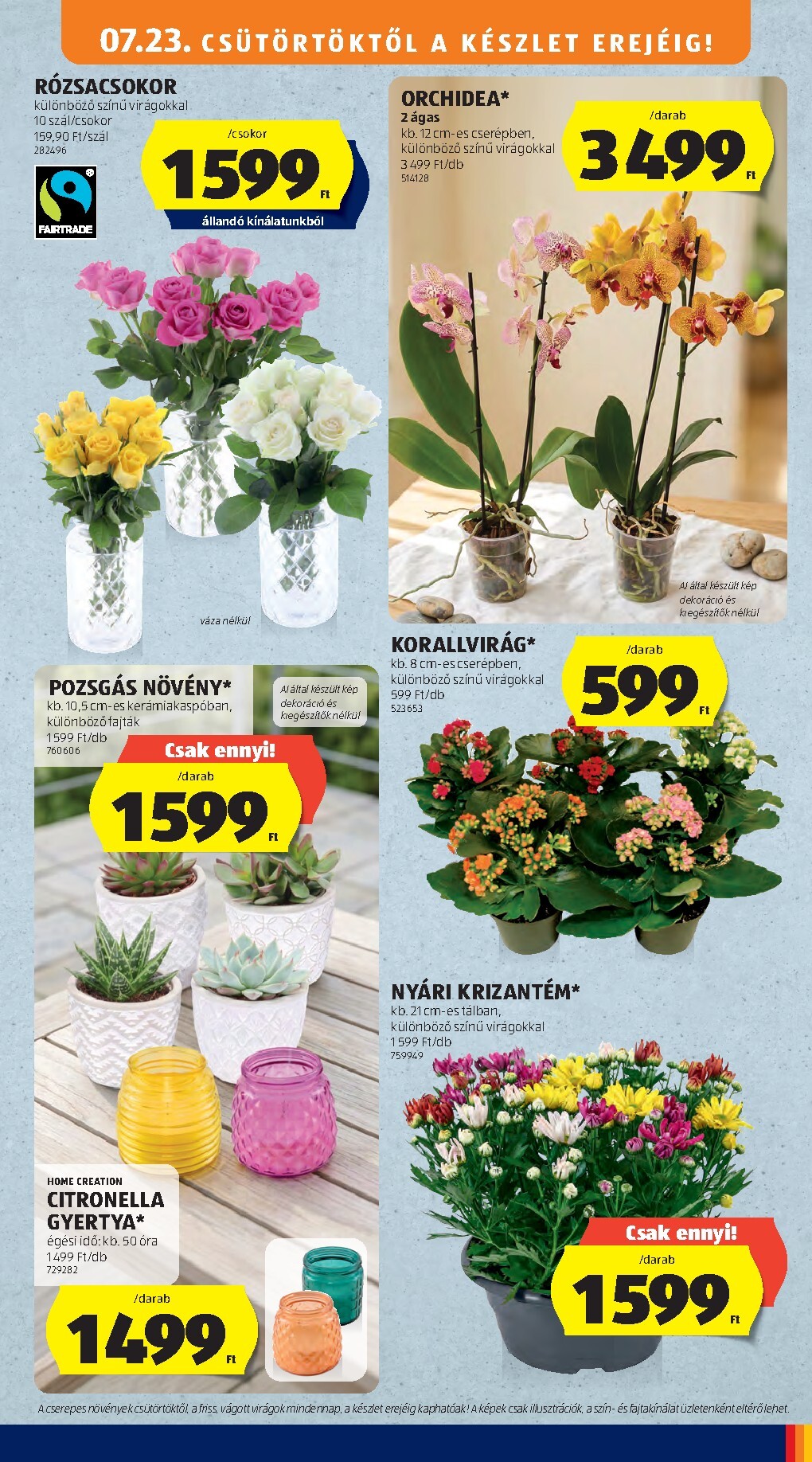aldi - Aldi - Középső sor termékei hirdetmény a következő hétre csütörtöktől 2026.07.23.-tól szerdától 2026.07.29.-ig - page: 13