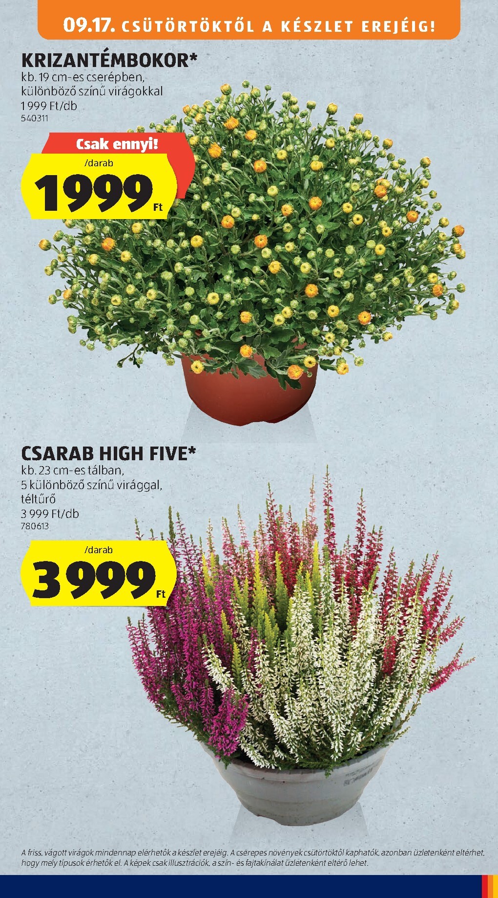 aldi - Aktuális Aldi - Középső sor termékei szórólap érvényes csütörtöktől 2026.09.17.-től szerdától 2026.09.23.-ig - page: 5