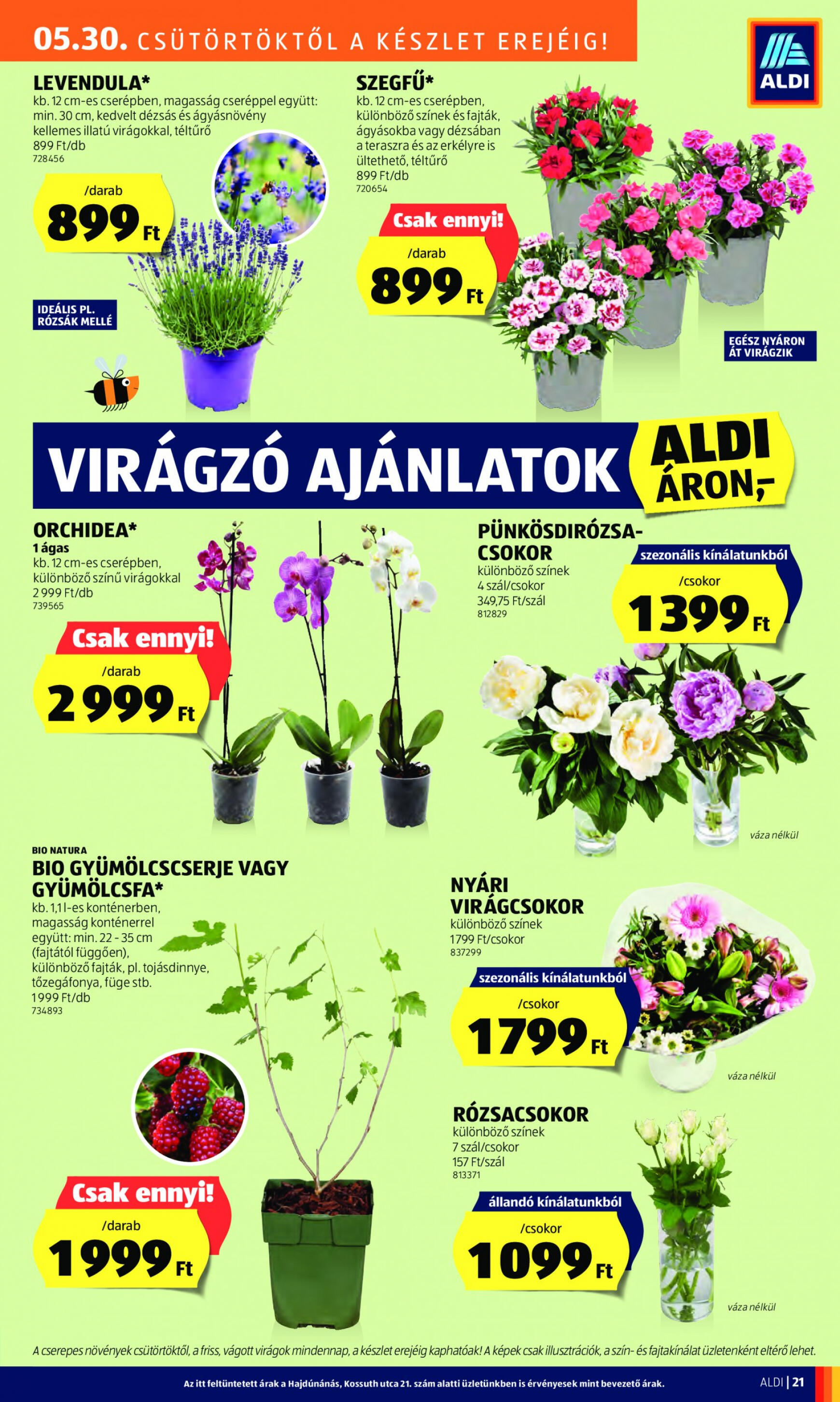 aldi - Aktuális újság Aldi 05.30. - 06.05. - page: 23