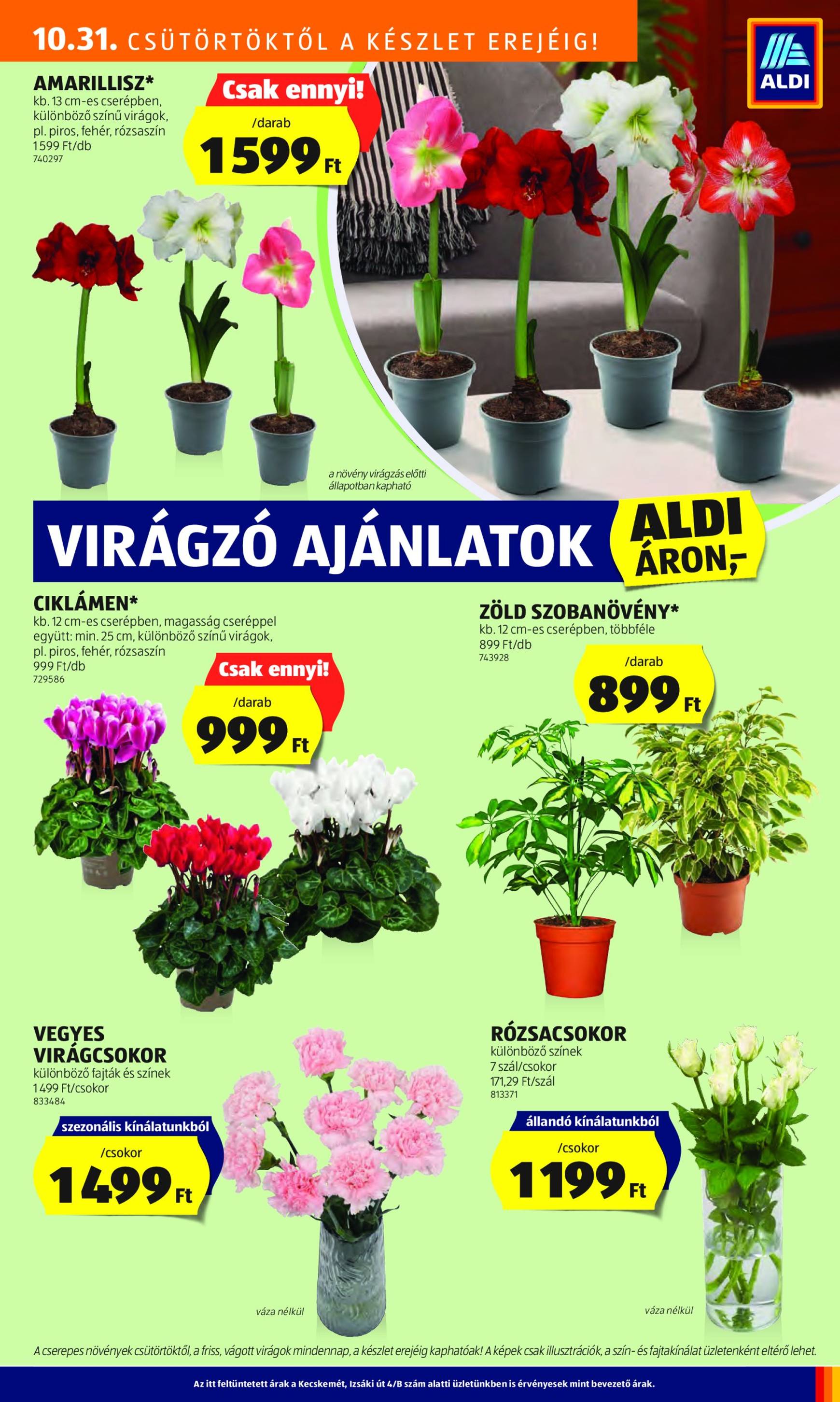 aldi - Aldi akciós újság, érvényes 10.31. - 11.06. - page: 29