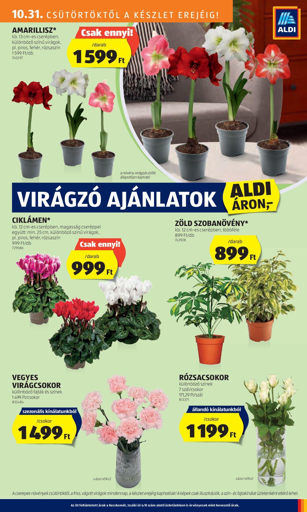 aldi - Akciós újság új Aldi 2024.10.31. - 2024.11.06. - page: 29