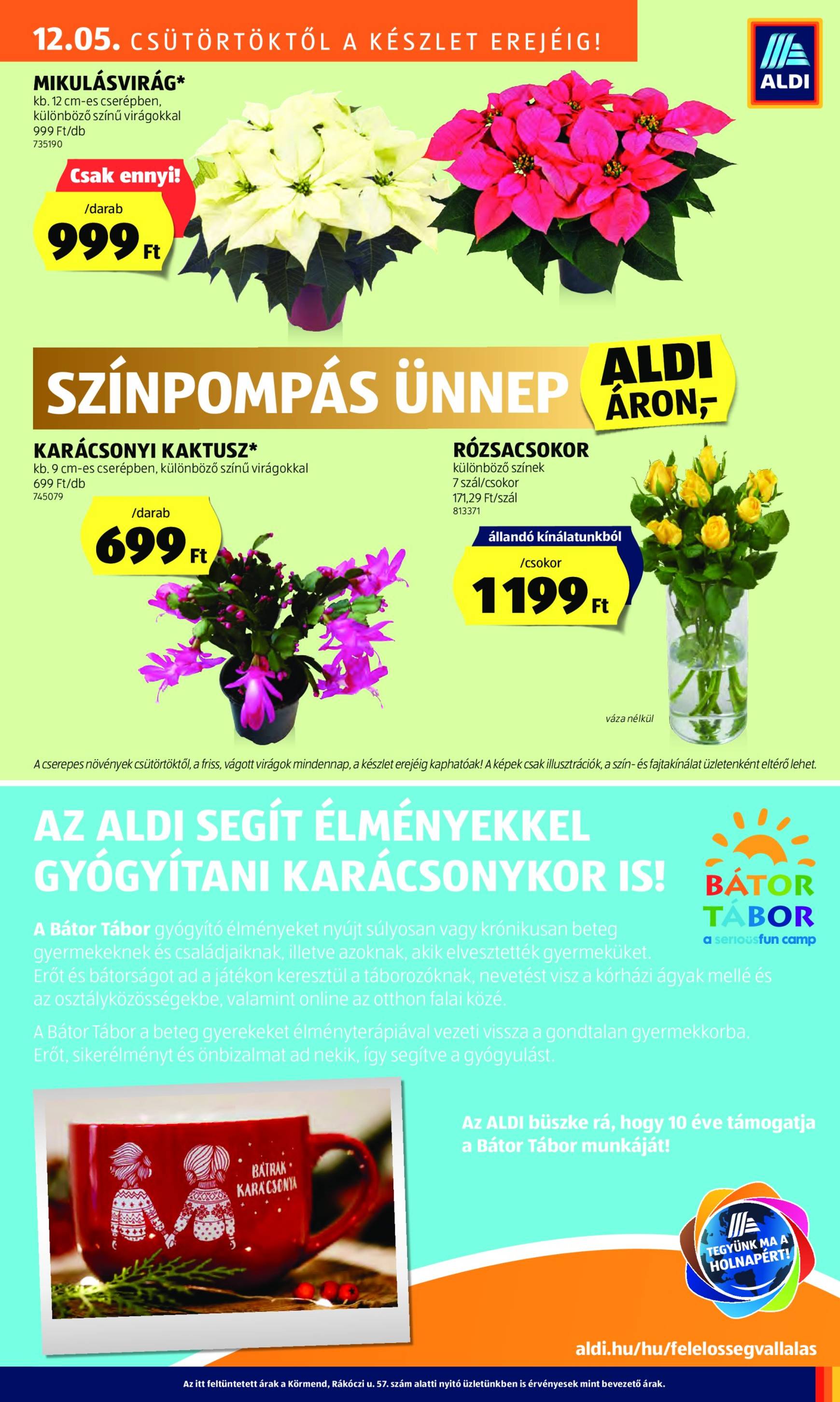 aldi - Aldi akciós újság, érvényes 12.05. - 12.11. - page: 41