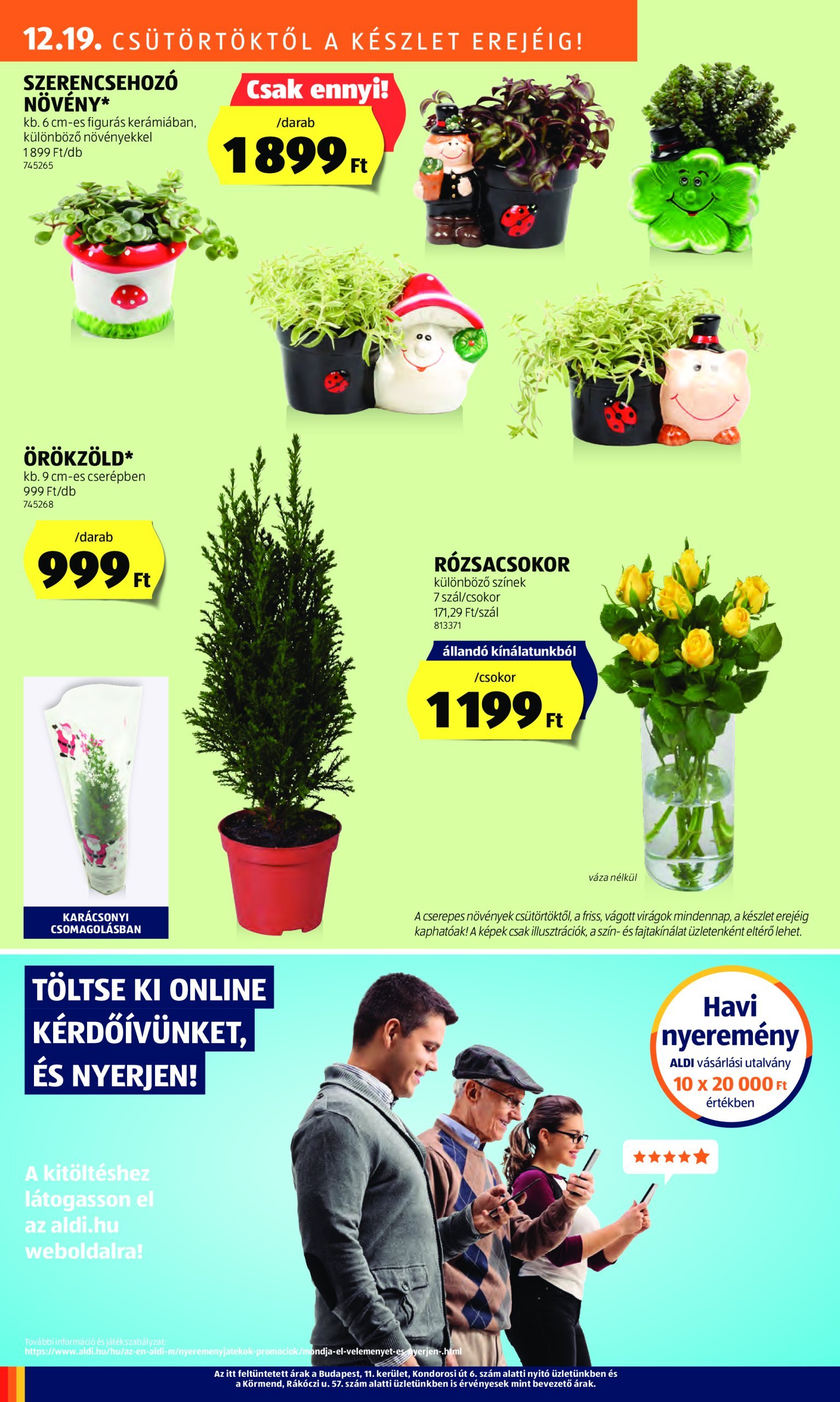 aldi - Aldi akciós újság, érvényes 12.19. - 12.24. - page: 34