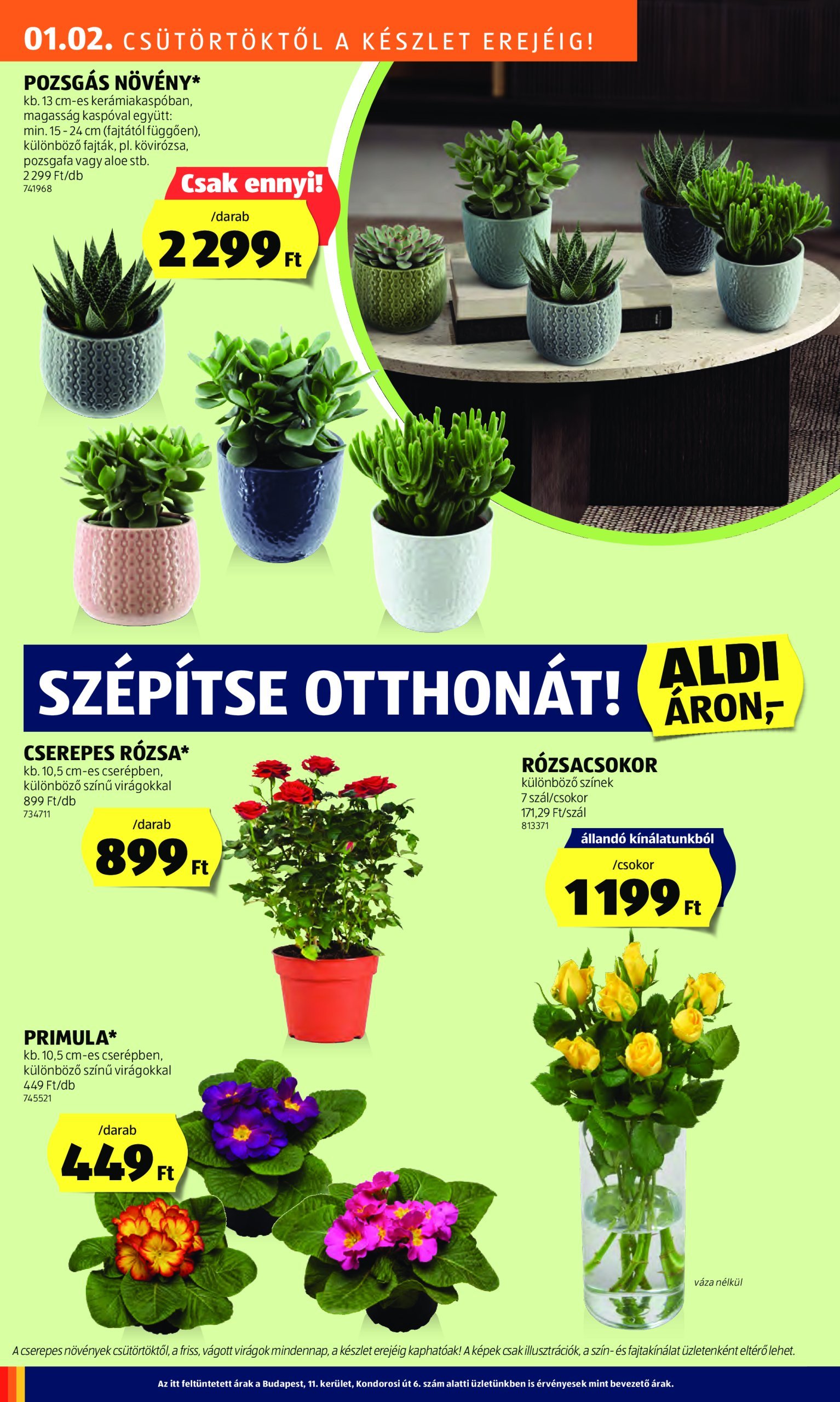 aldi - Aldi akciós újság, érvényes 01.02. - 01.08. - page: 24