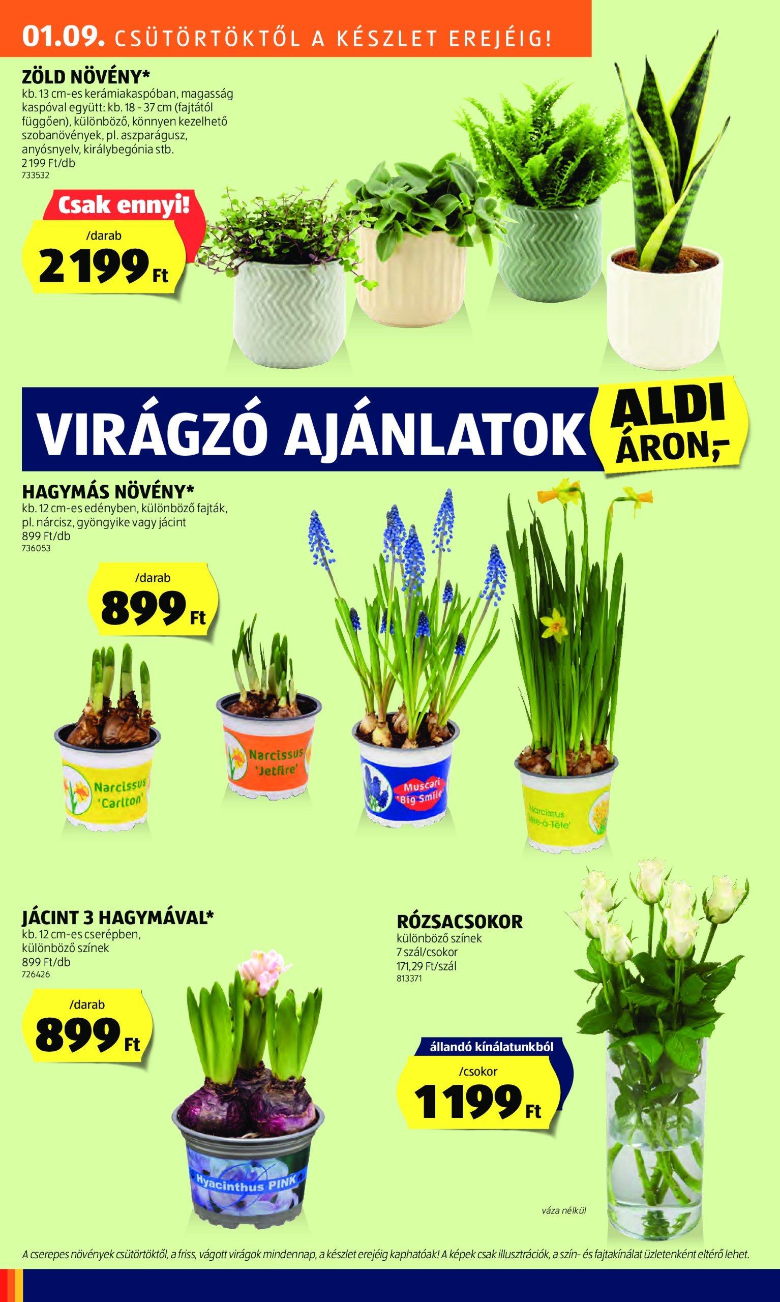 aldi - Aldi akciós újság, érvényes 01.09. - 01.15. - page: 30