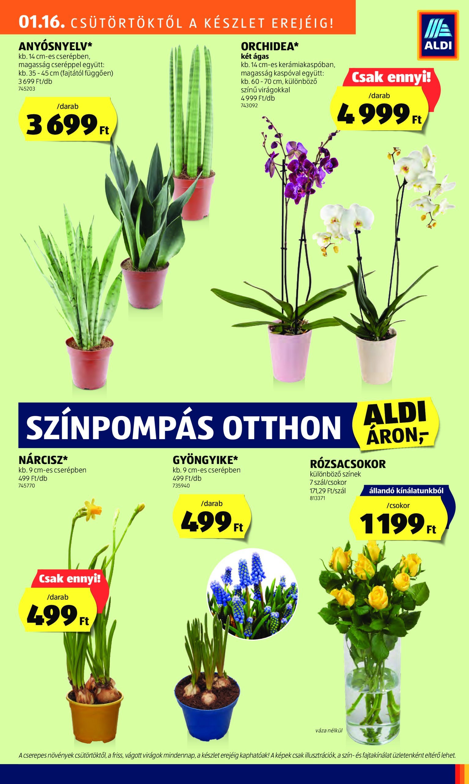 aldi - Aldi akciós újság, érvényes 01.16. - 01.22. - page: 29