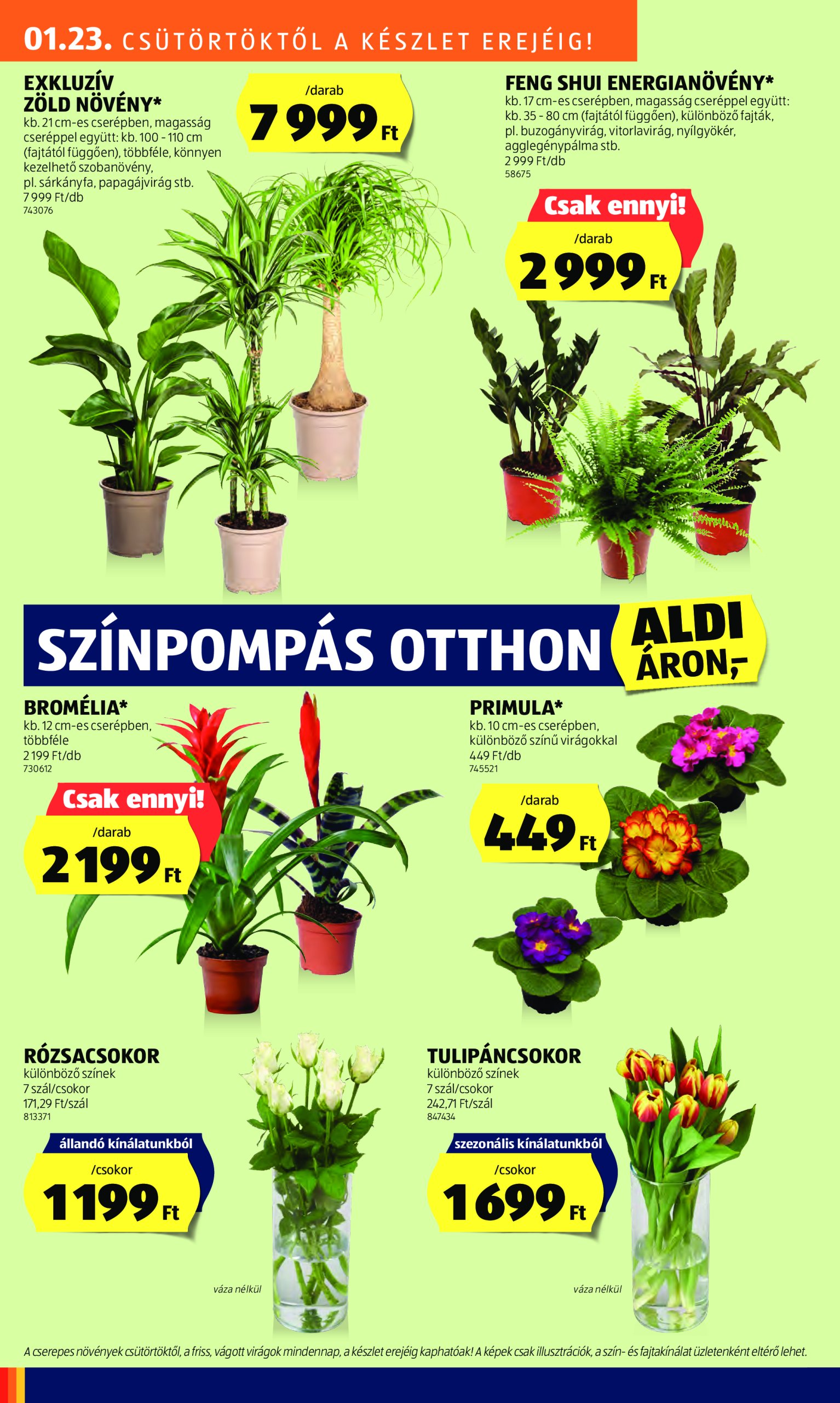 aldi - Aldi akciós újság, érvényes 01.23. - 01.29. - page: 32