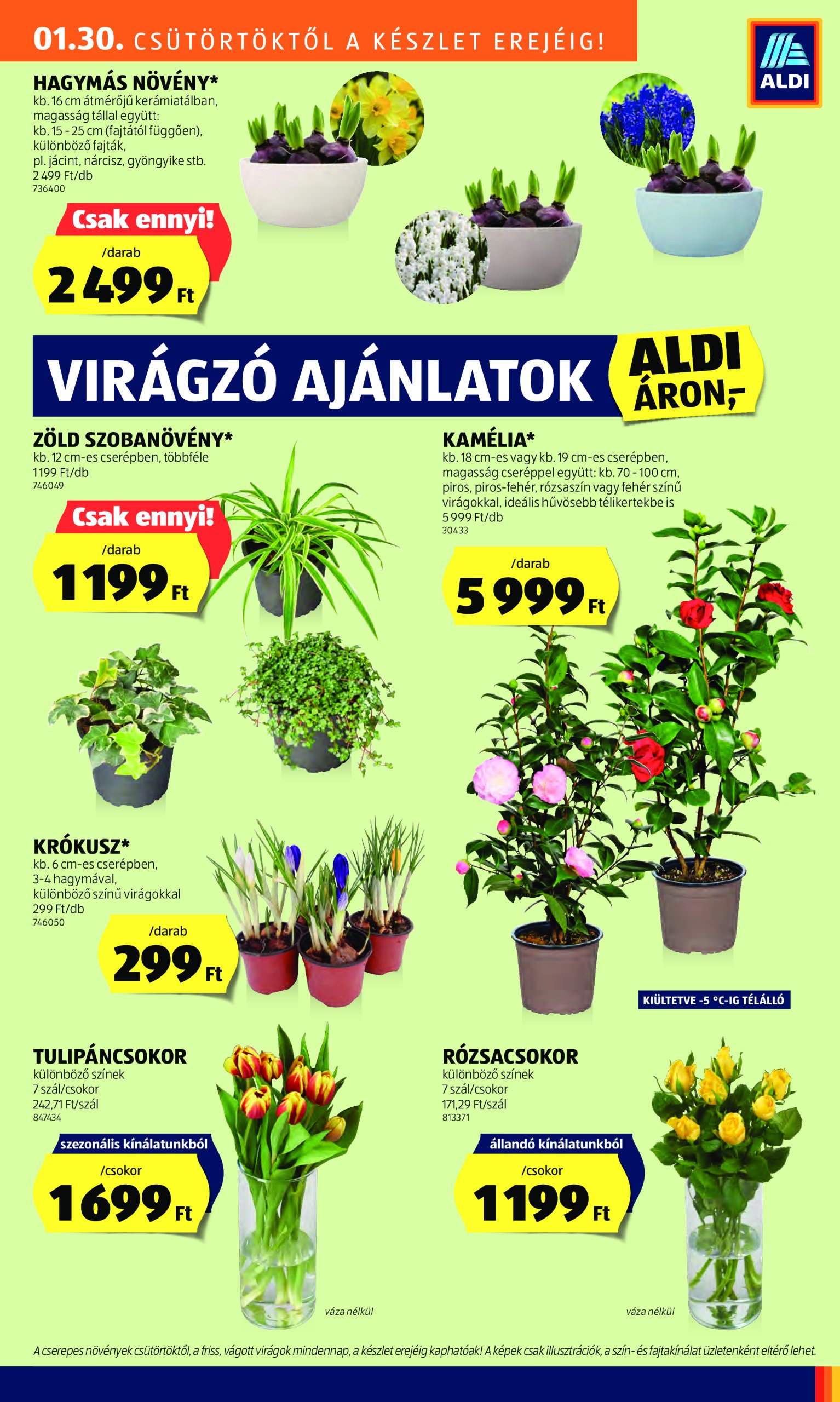 aldi - Aldi akciós újság, érvényes 01.30. - 02.05. - page: 27