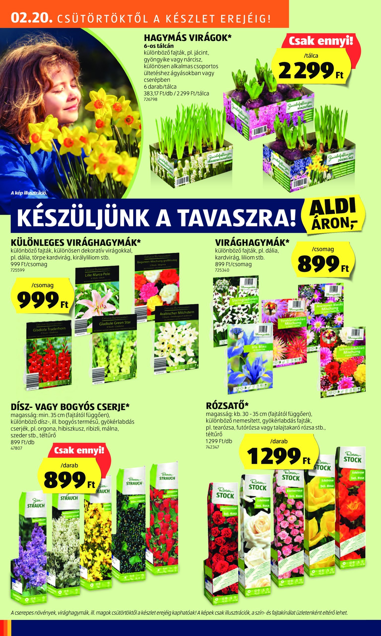 aldi - Aldi akciós újság, érvényes 02.20. - 02.26. - page: 34