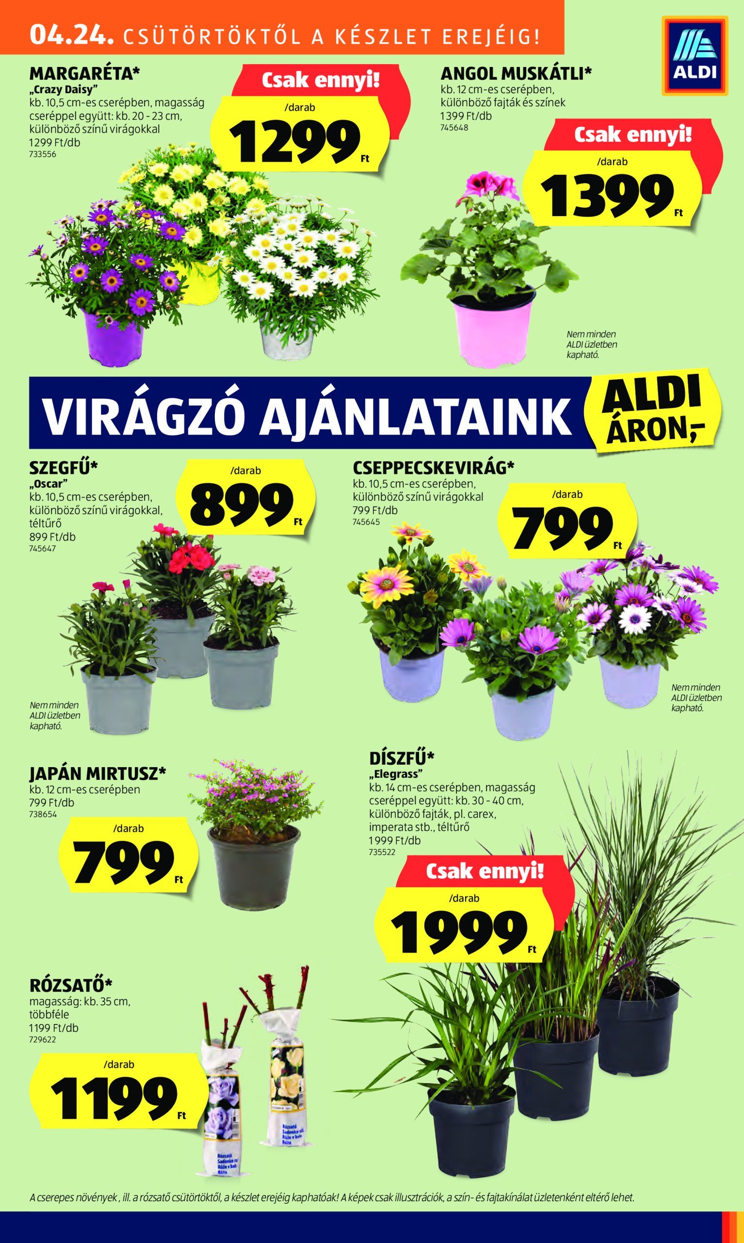 aldi - Aldi akciós újság, érvényes 04.24. - 04.29. - page: 27 aldi - Aldi akciós újság, érvényes 04.24. - 04.29. - page: 27