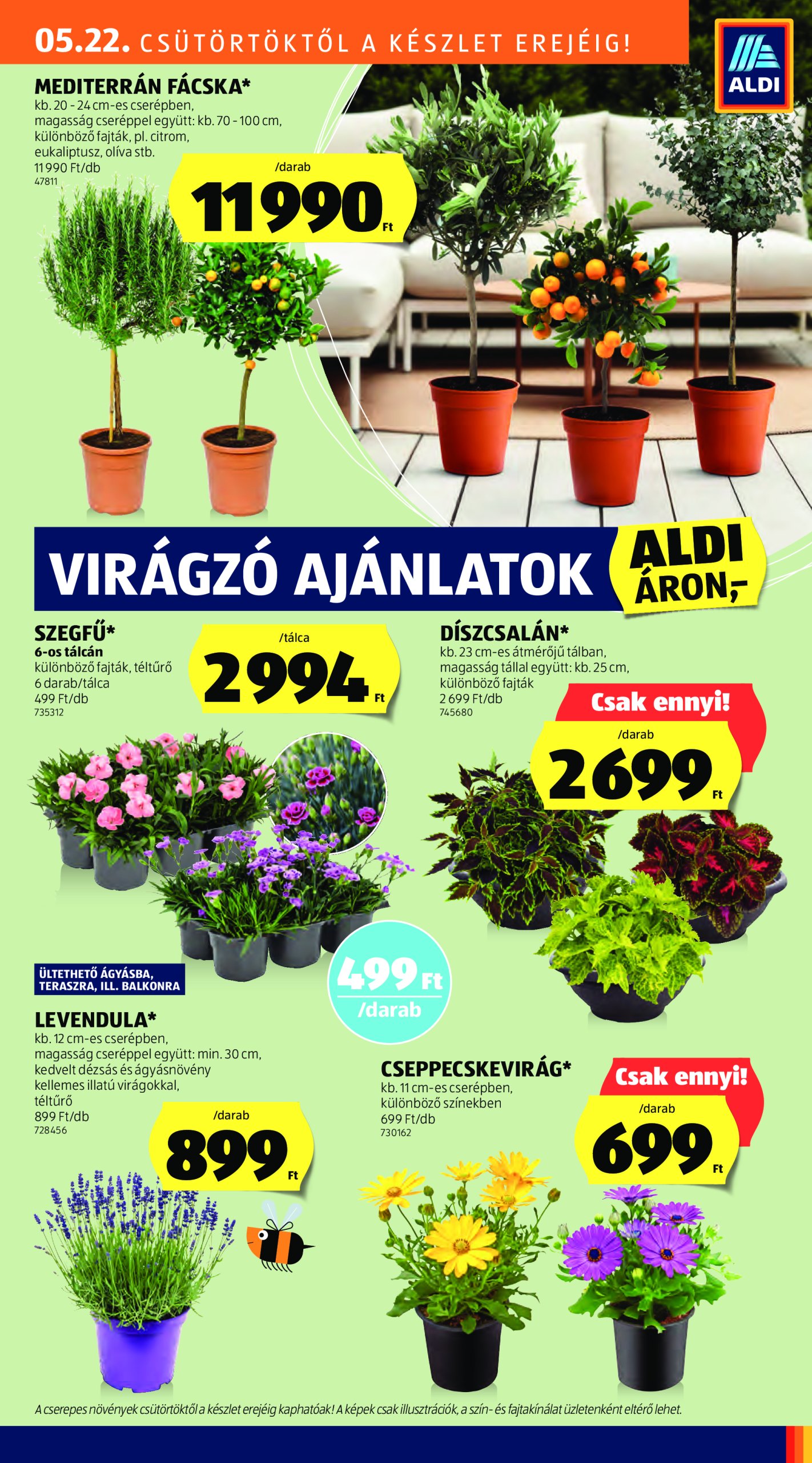 aldi - Aldi - Középső sor termékei akciós újság, érvényes 05.22. - 05.28. - page: 15