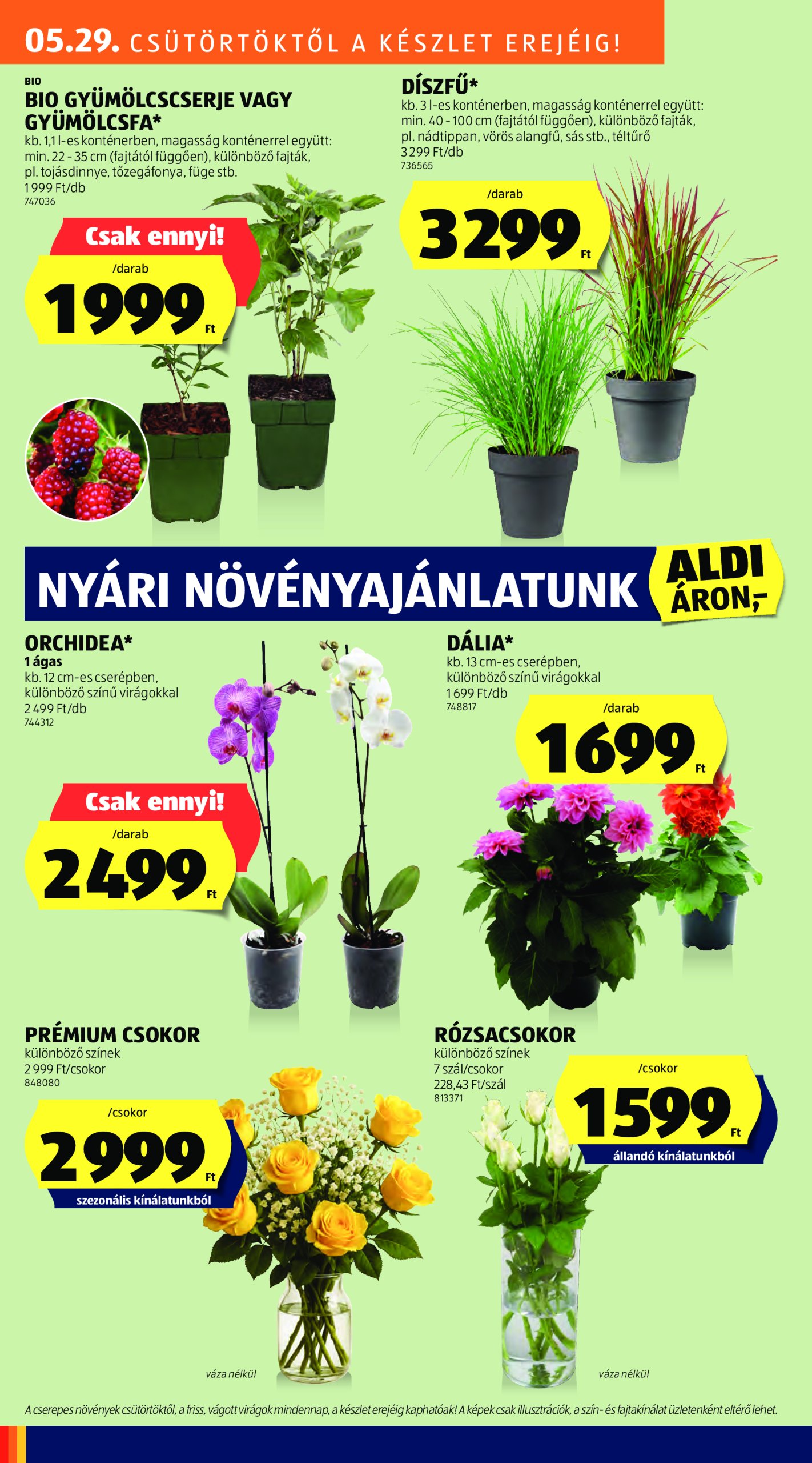 aldi - Aldi - Középső sor termékei akciós újság, érvényes 05.29. - 06.04. - page: 10